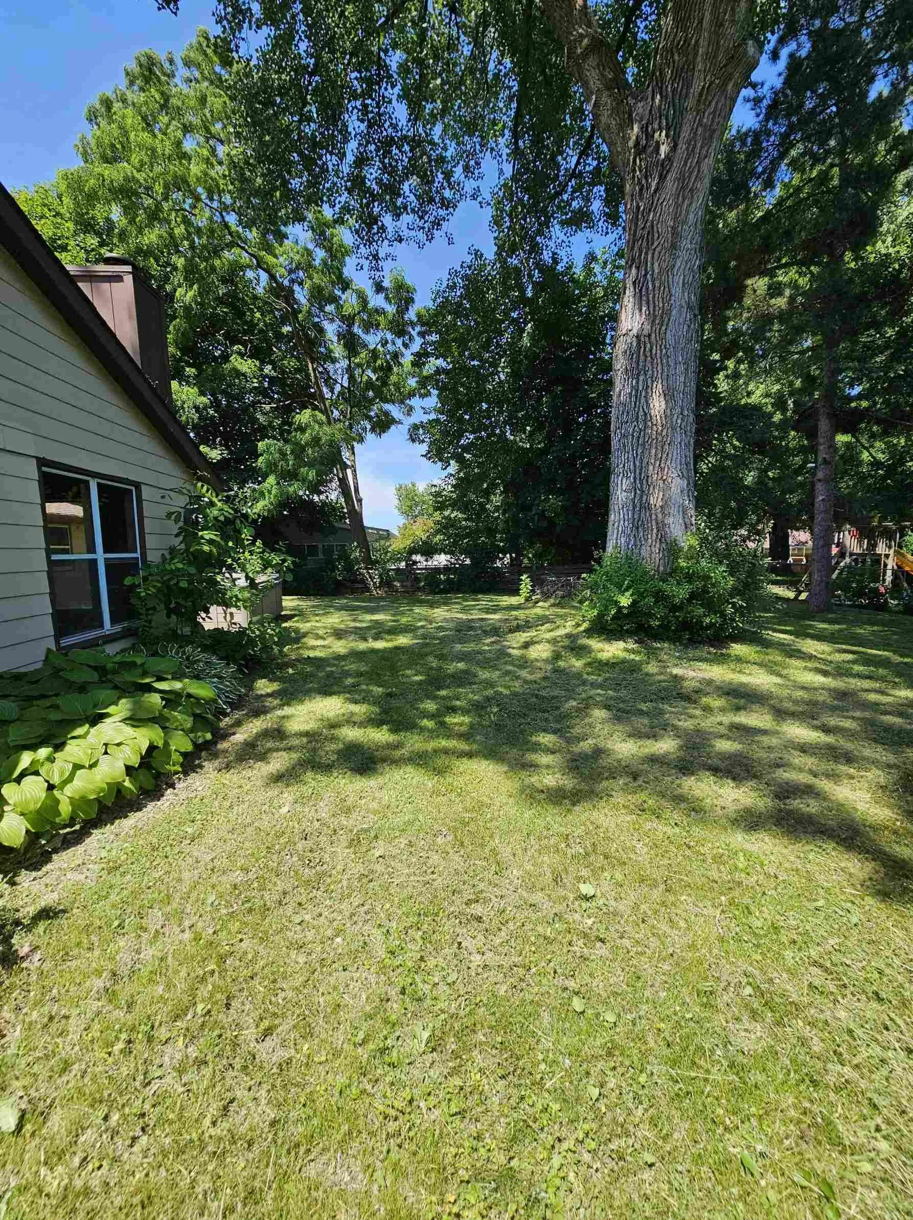 A backyard scene with a grassy lawn, large mature trees providing shade, a house with siding on the left, and neighboring houses visible in the background. The sky is clear and blue.