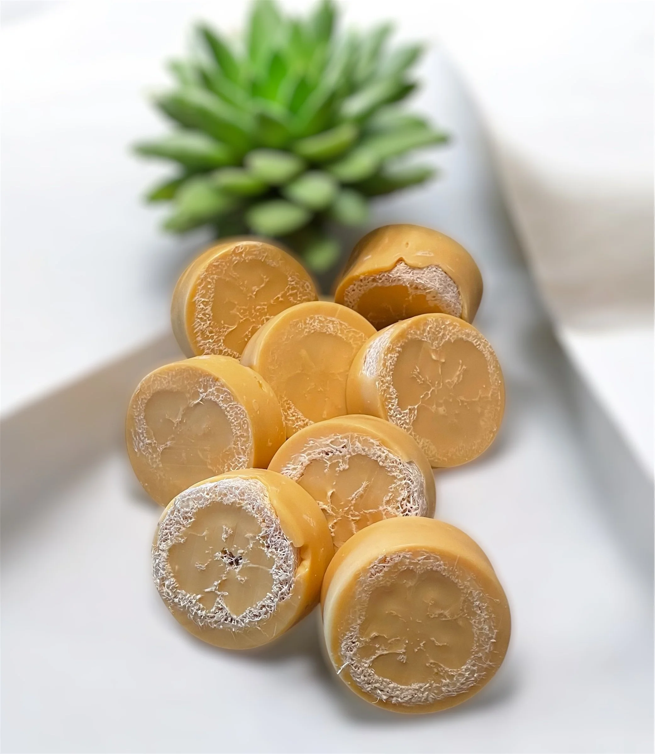 Goat's Milk & Loofah Soap + Juicy Orange