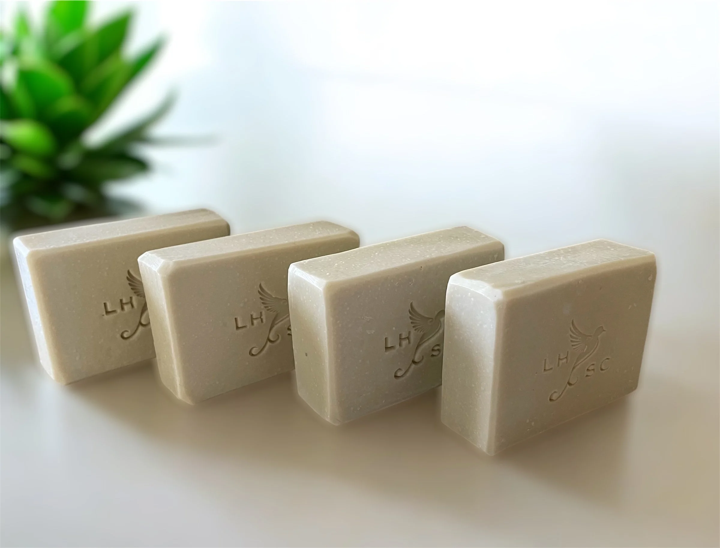 Castile Soap + Bare (Unscented)