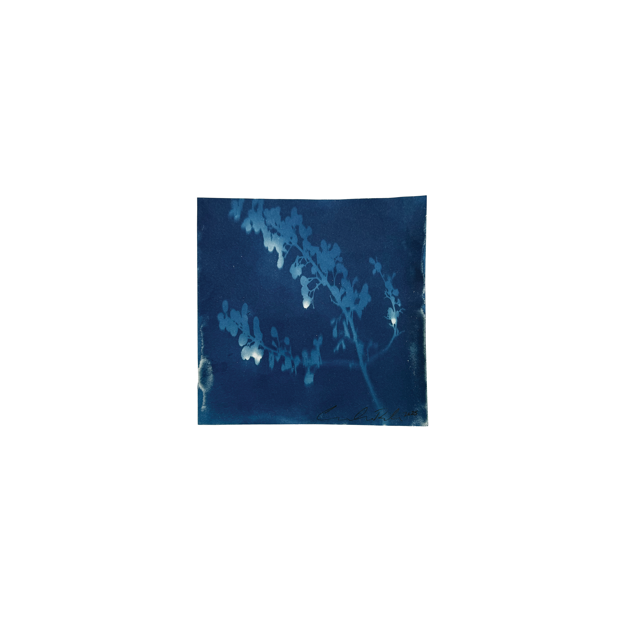 Open Invitation, 5 x 5"