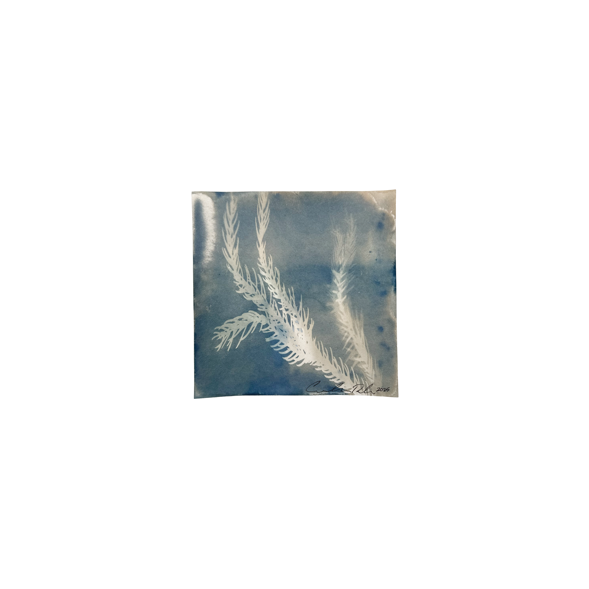 Packs A Punch, 5 x 5"