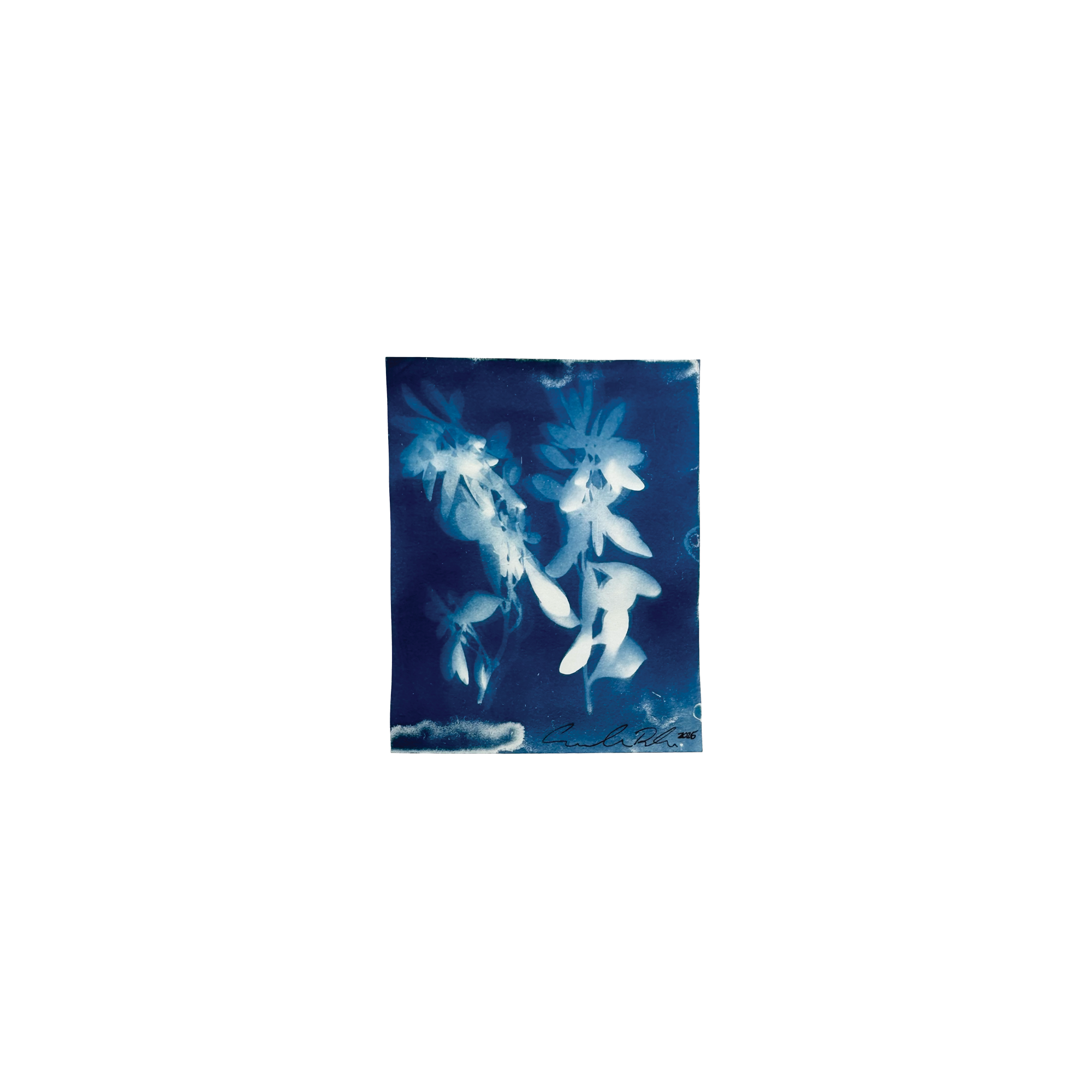 Pocket Sized, 4 x 6"