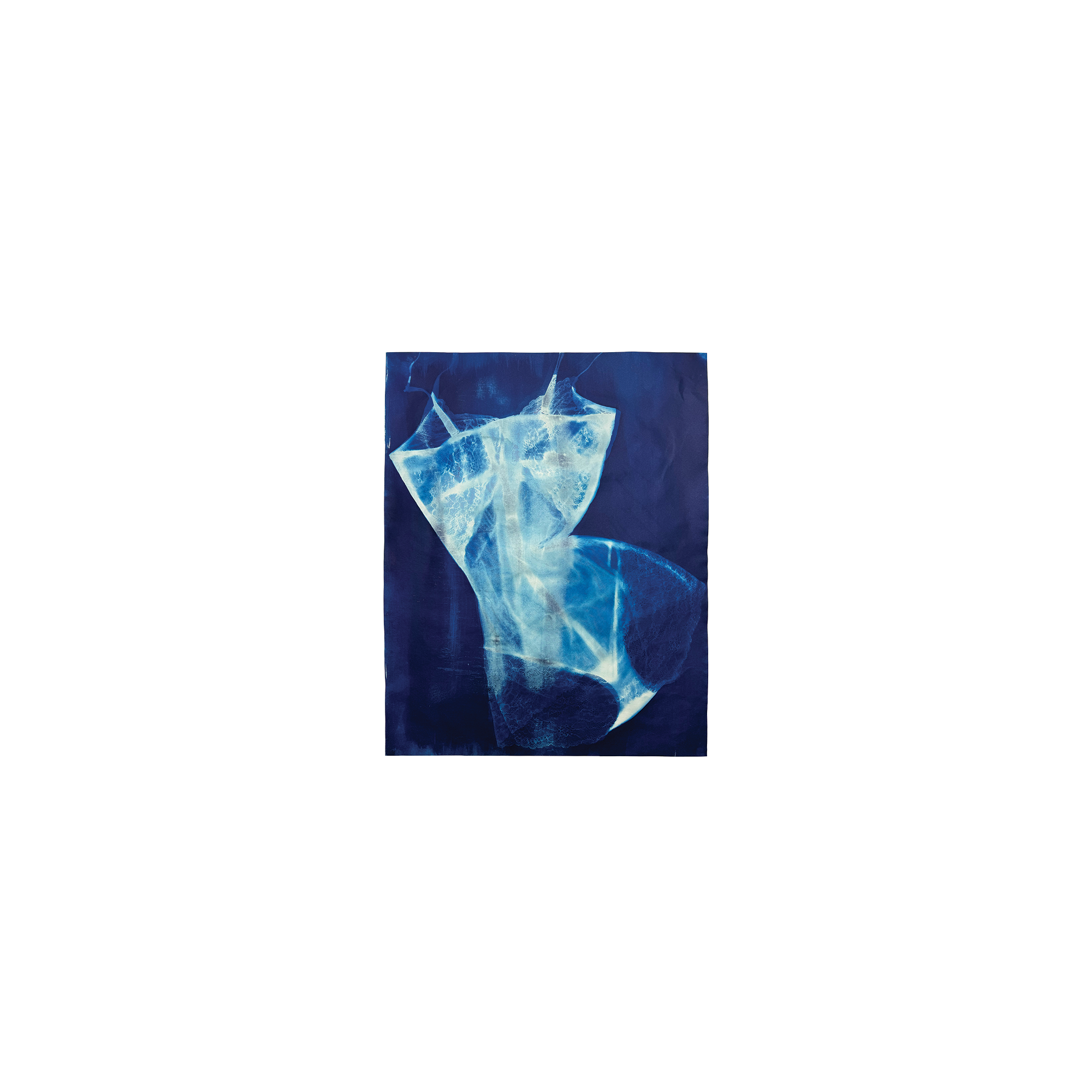 Spotlight on Lace, 4 3/4" x 6"