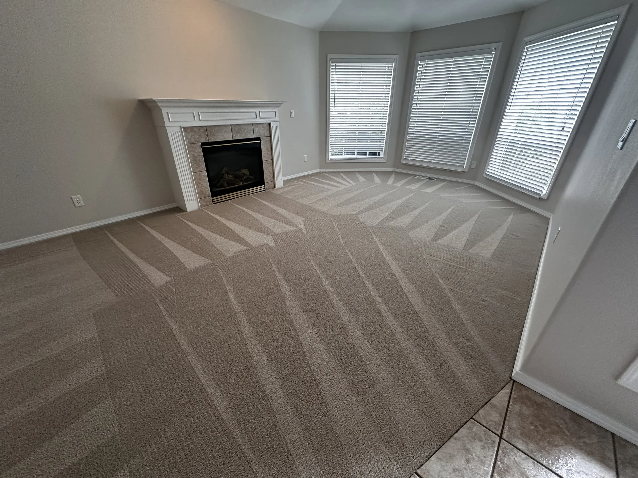 Fast-Dry Carpet Cleaning: Why It Matters for Homes, Offices, and Busy Schedules