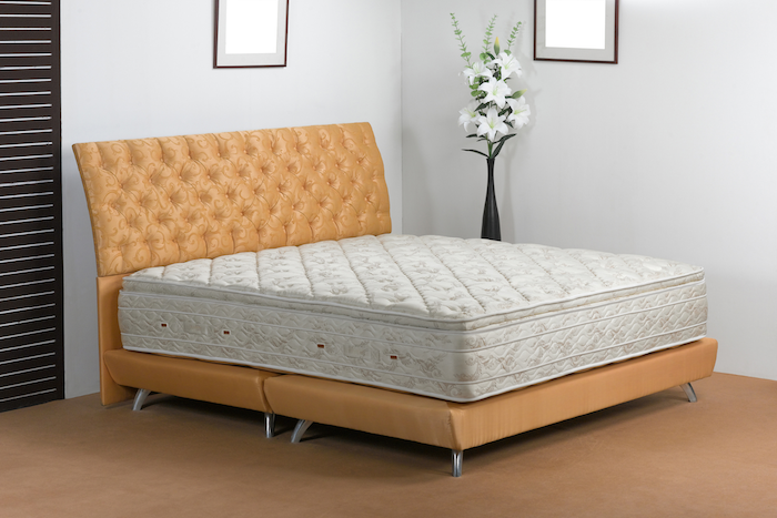 Modern bedroom with tan upholstered bed frame and matching headboard, white mattress, white wall with framed pictures, black vase with white flowers, and brown carpet.