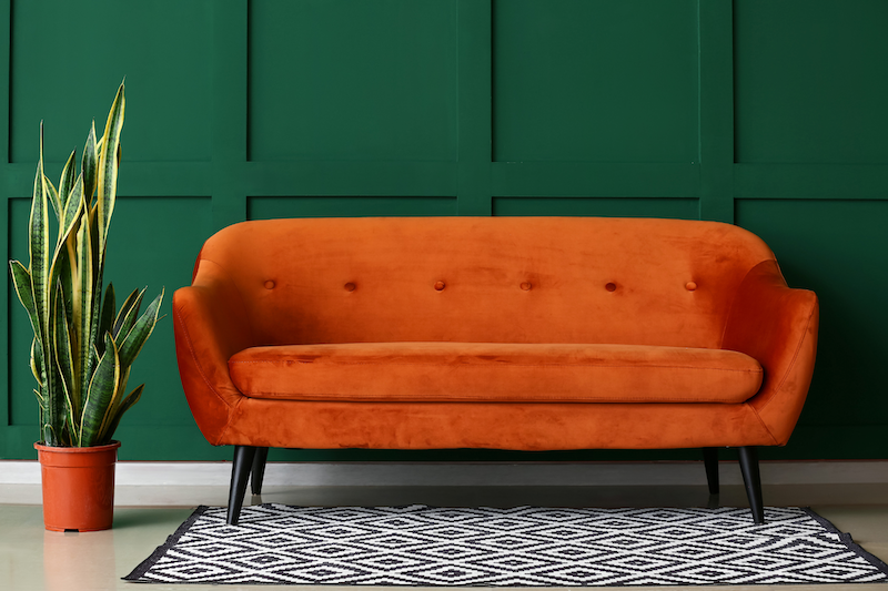 An orange mid-century modern sofa with black legs in front of a dark green wall, next to a potted snake plant, on a black-and-white geometric patterned rug.