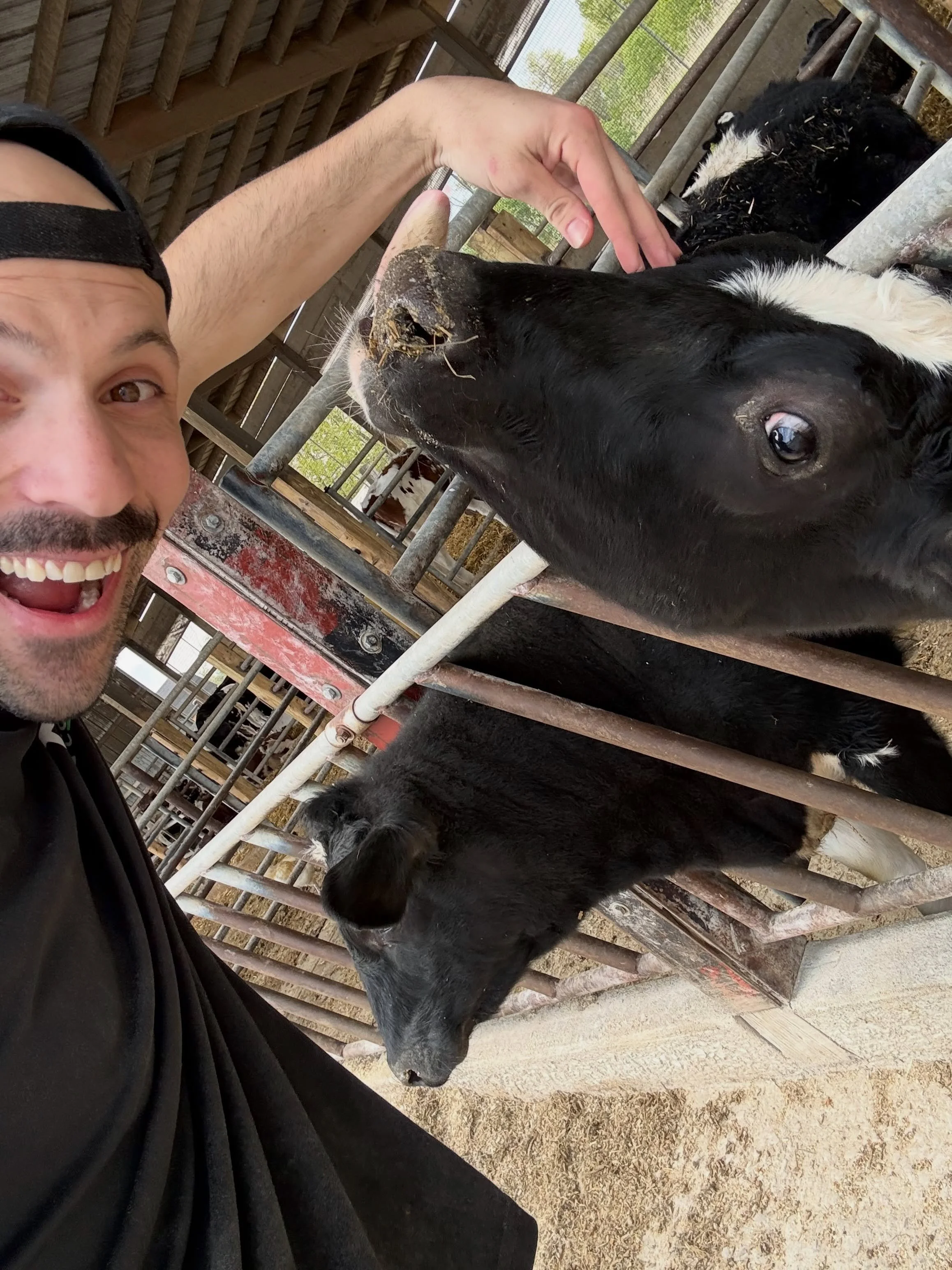 A little recap from our time at Calder Dairy &amp; Farm over the weekend to support our friends at Pawsitive Change Animal Rescue with their adoption event 🐾🐶🐱🐮 

If you have not had the chance to visit the farm, it is located in Carleton and I w