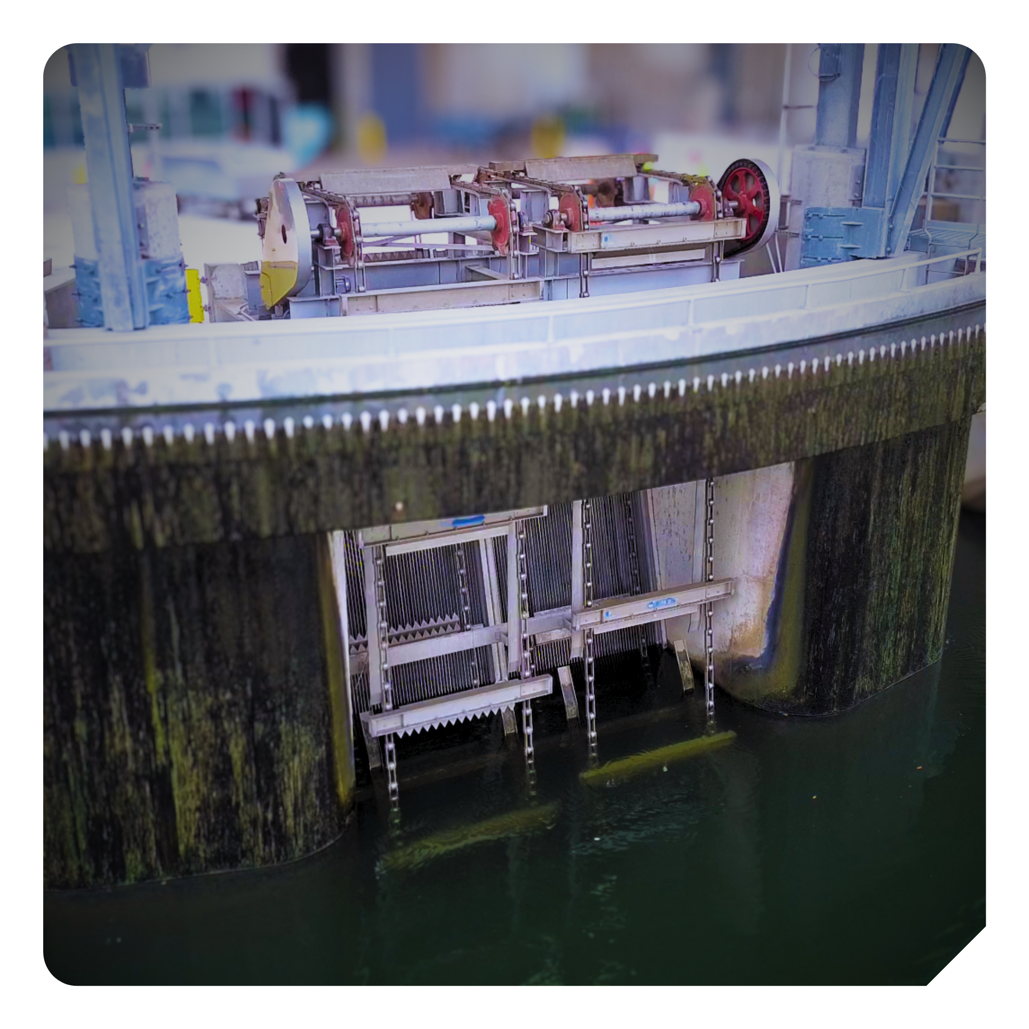 Catenary Trash Rakes