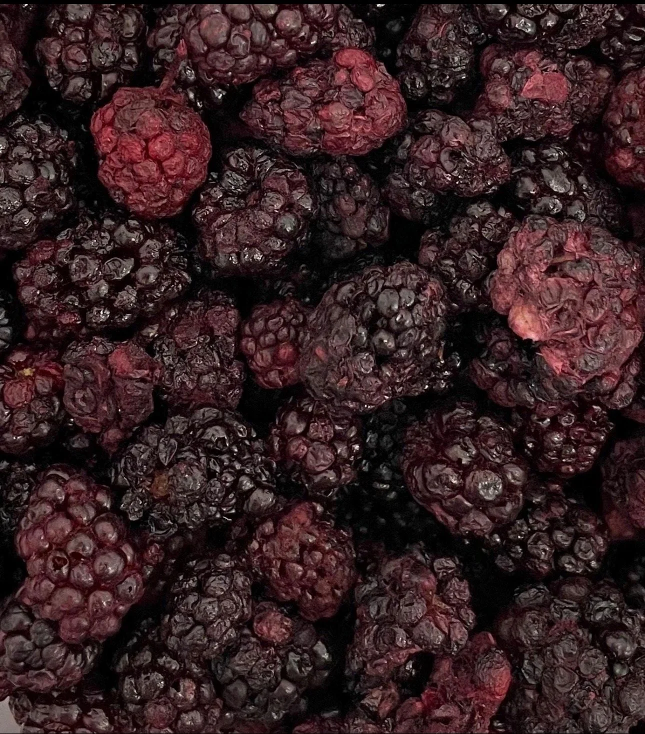 Blackberries