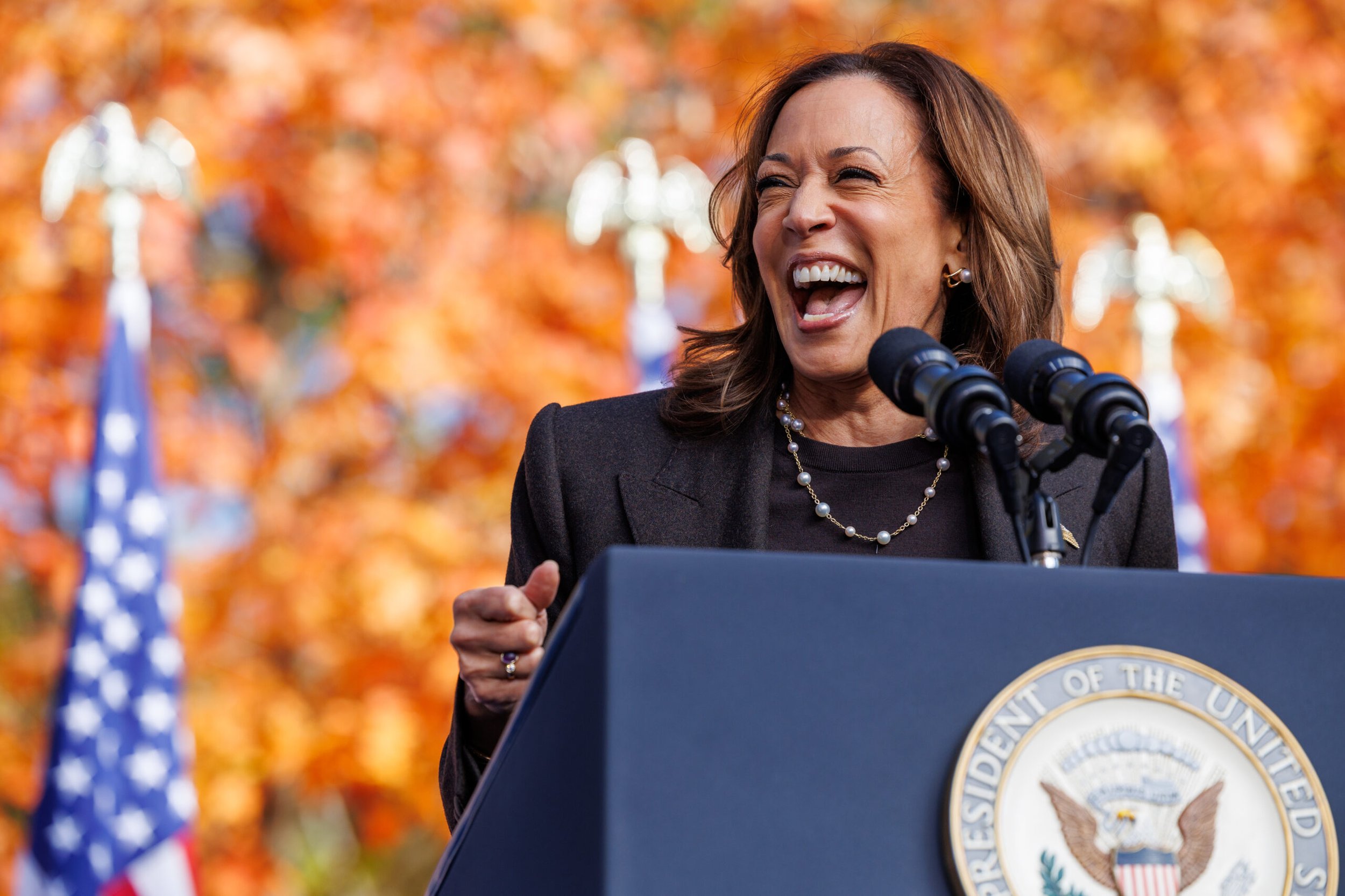 Kamala Harris at a rally in Grand Rapids, MI during her 2024 campaign for US President.