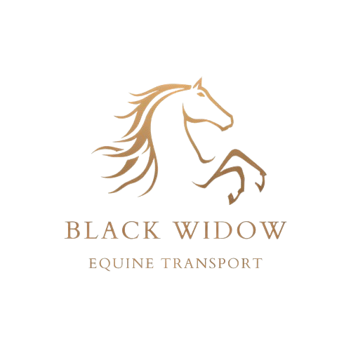 Black Widow Equine Transport