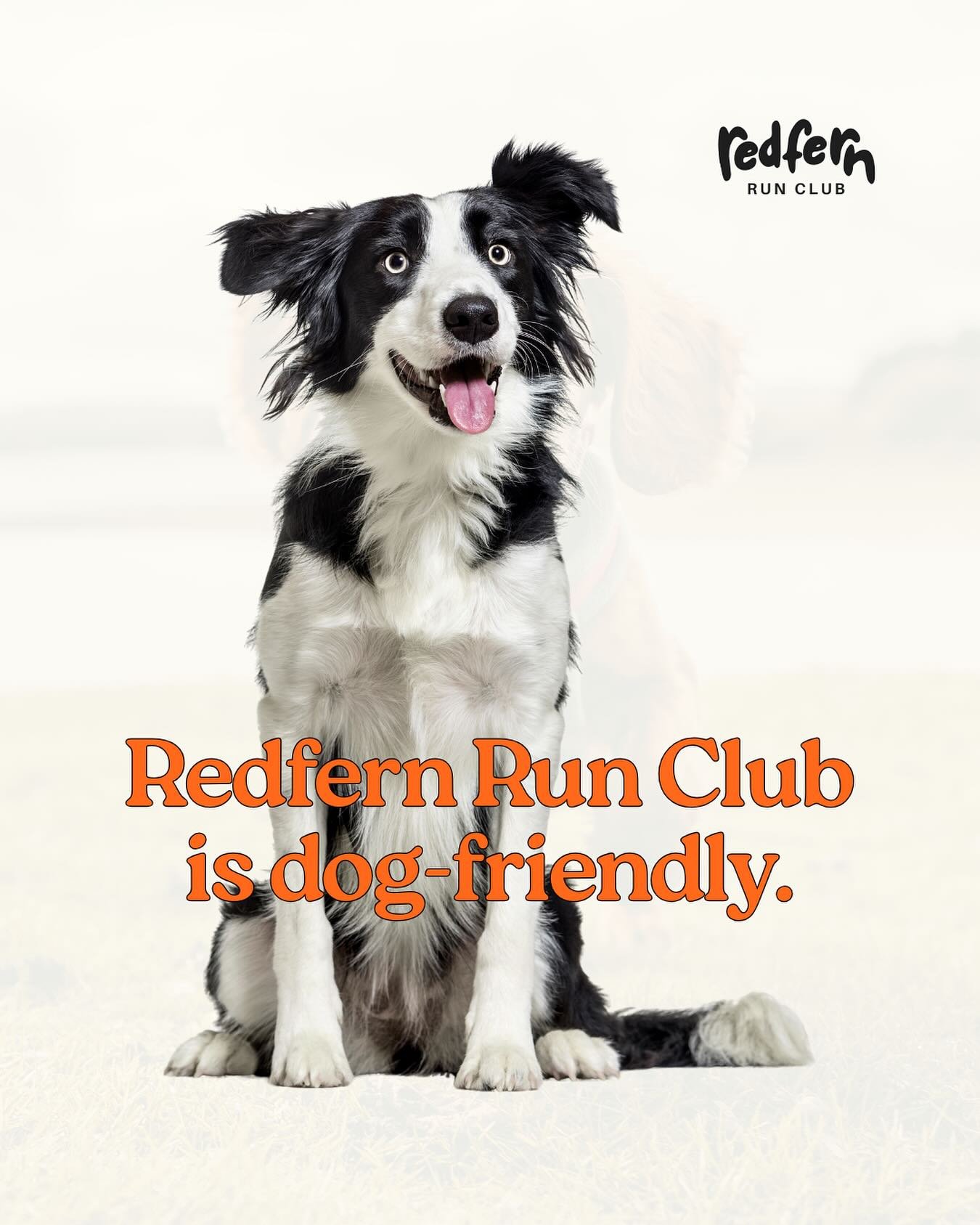 Got a running buddy with a tail? 🐶
Bring them along. Redfern Run Club is dog-friendly and proud of it!