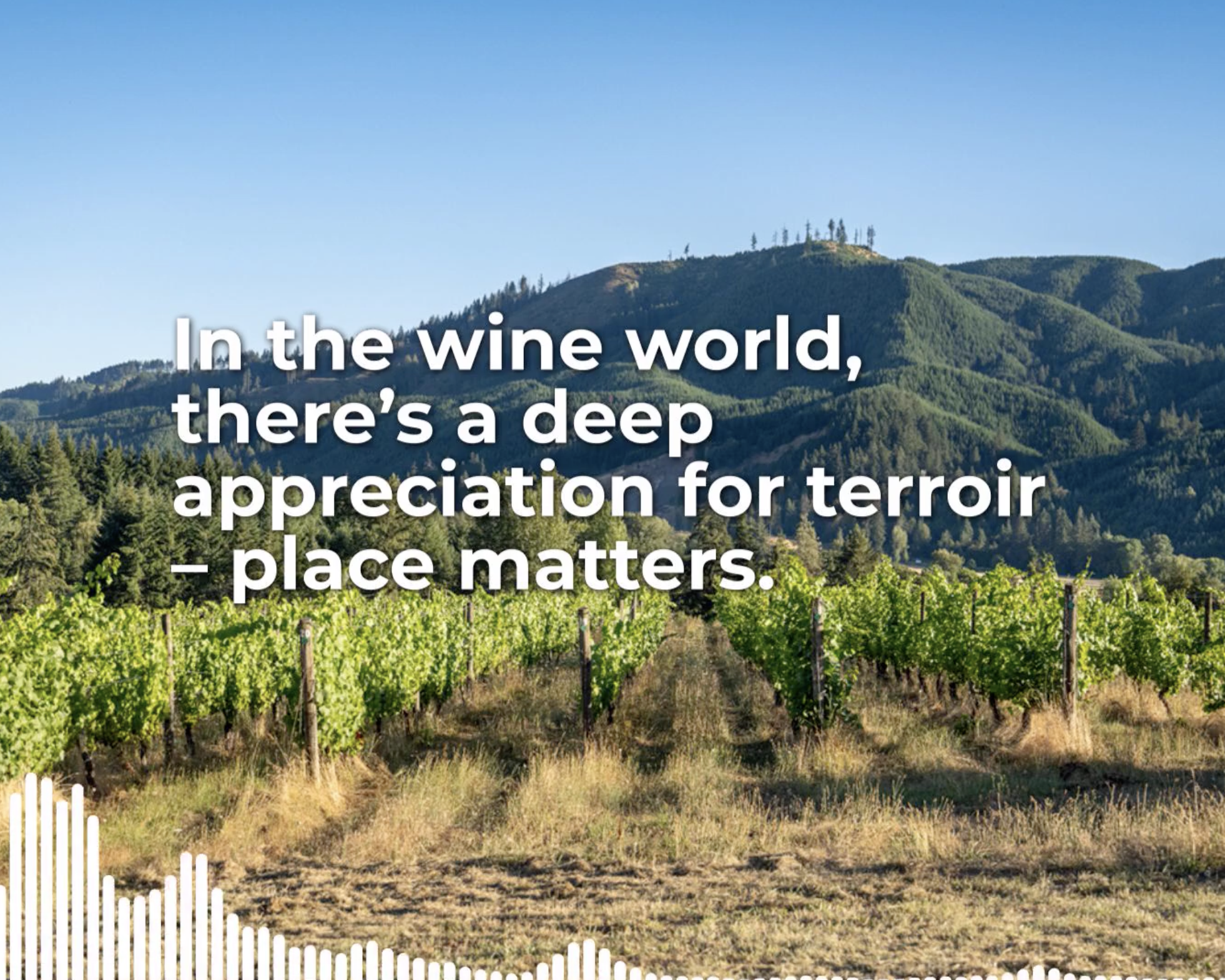 Reflections on the Organic Wine Conference: Cultivating for the Future