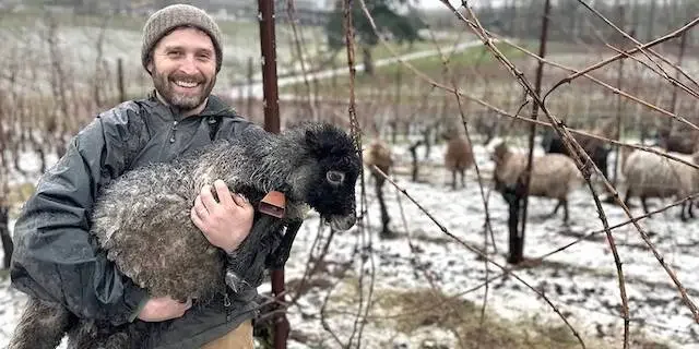 Grass roots group forms to boost Oregon organic wine