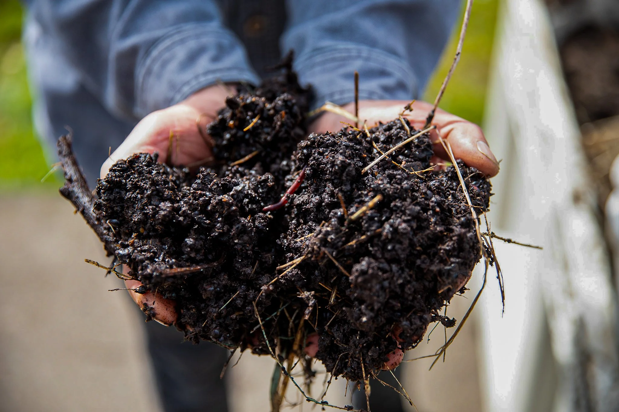Oregon Grower Group and Grand Cru Vintners Launch First Organically Grown Wine Conference