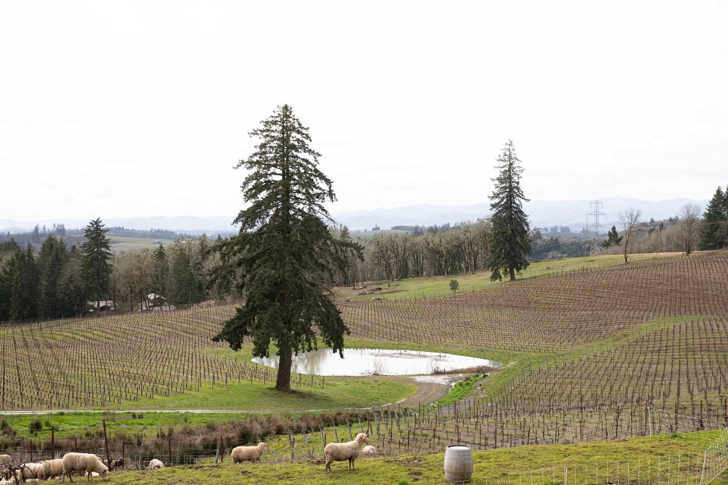 Debut Organic Wine Conference Puts Farmers First
