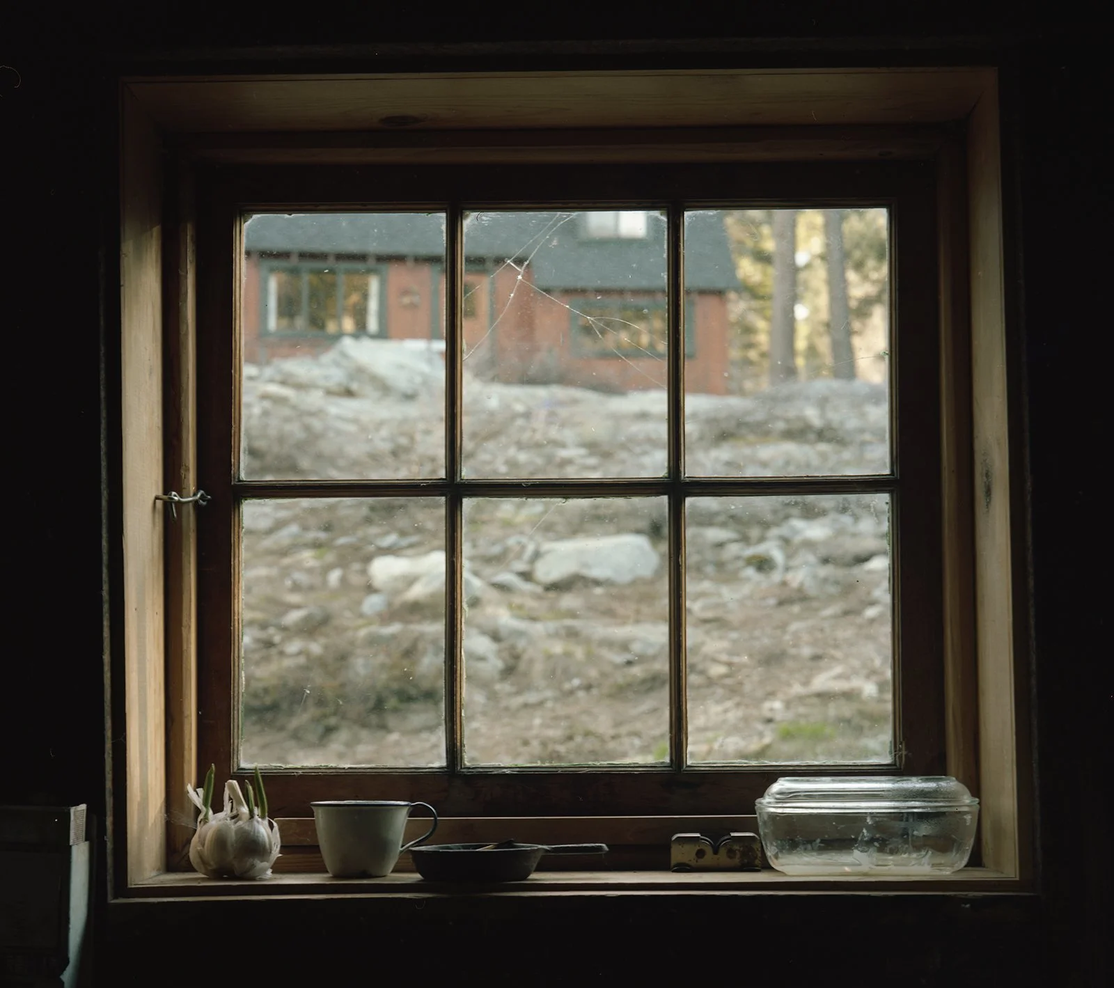 Demus20250216_16585112 copy.jpg