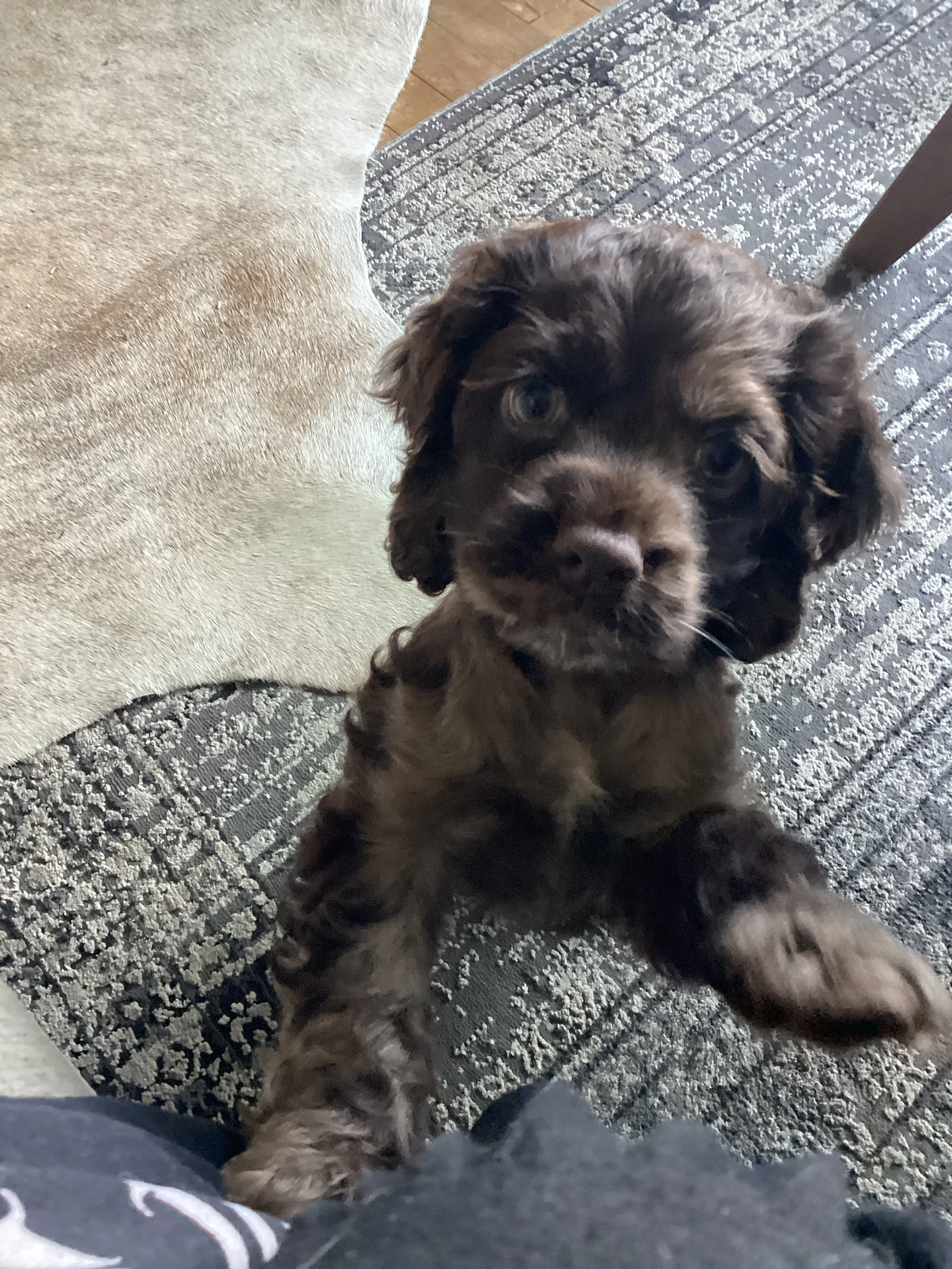 Meet our newest member!