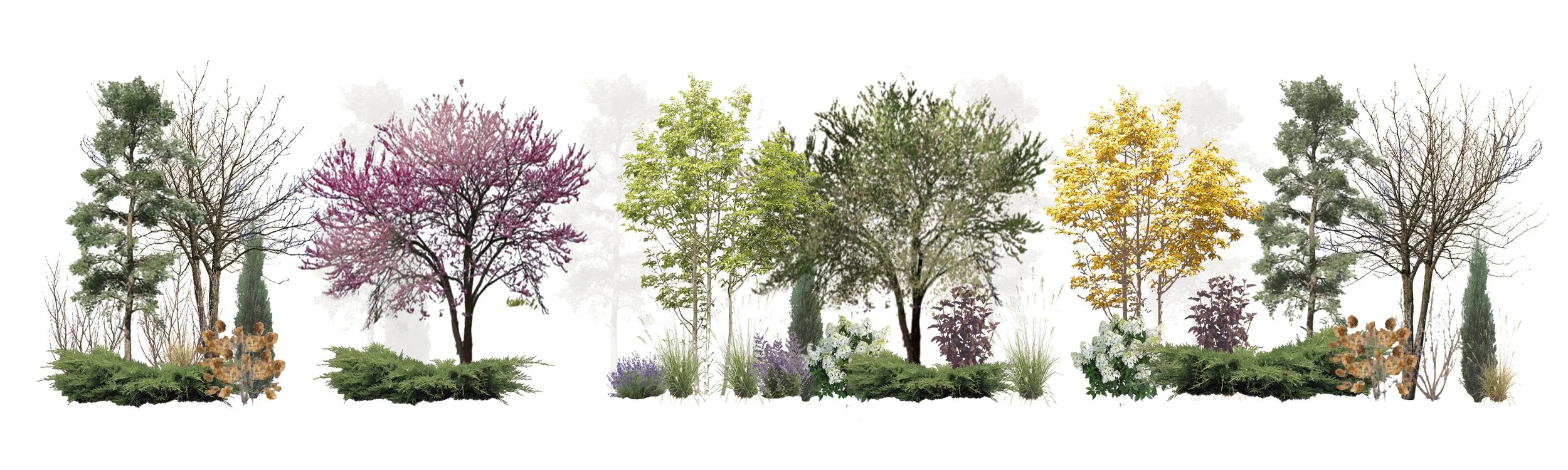 Williams Plant Palette.jpg