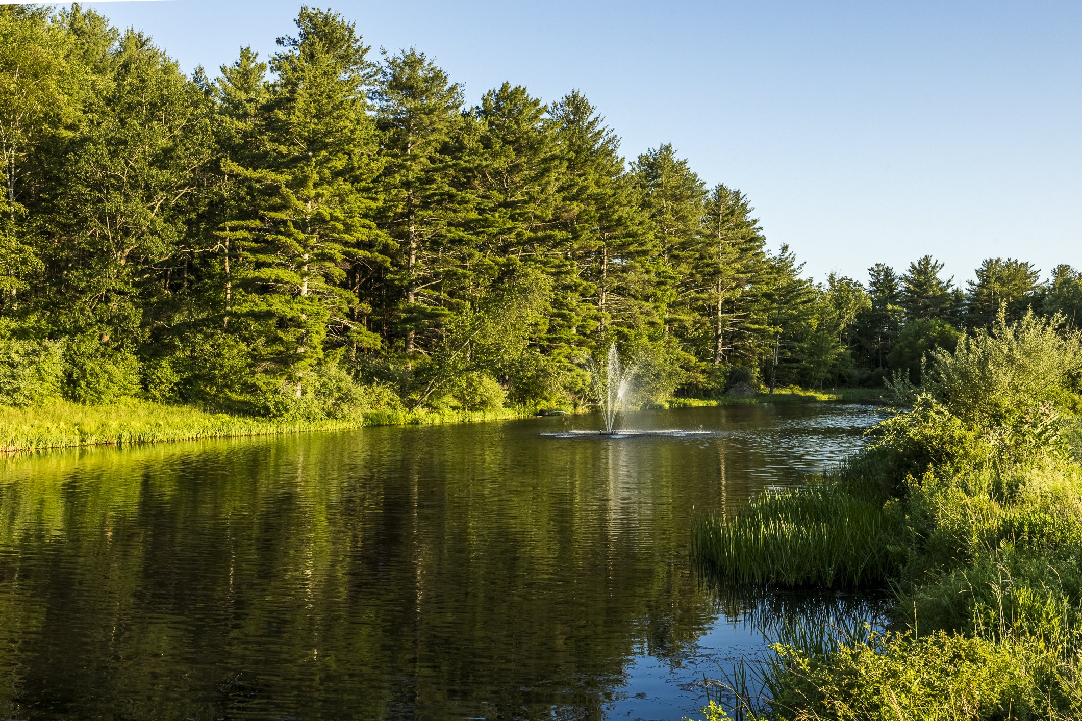 A peaceful river runs through a lush green forest with tall trees on both sides, and a small fountain in the middle of the river splashing water into the air, under a clear blue sky.