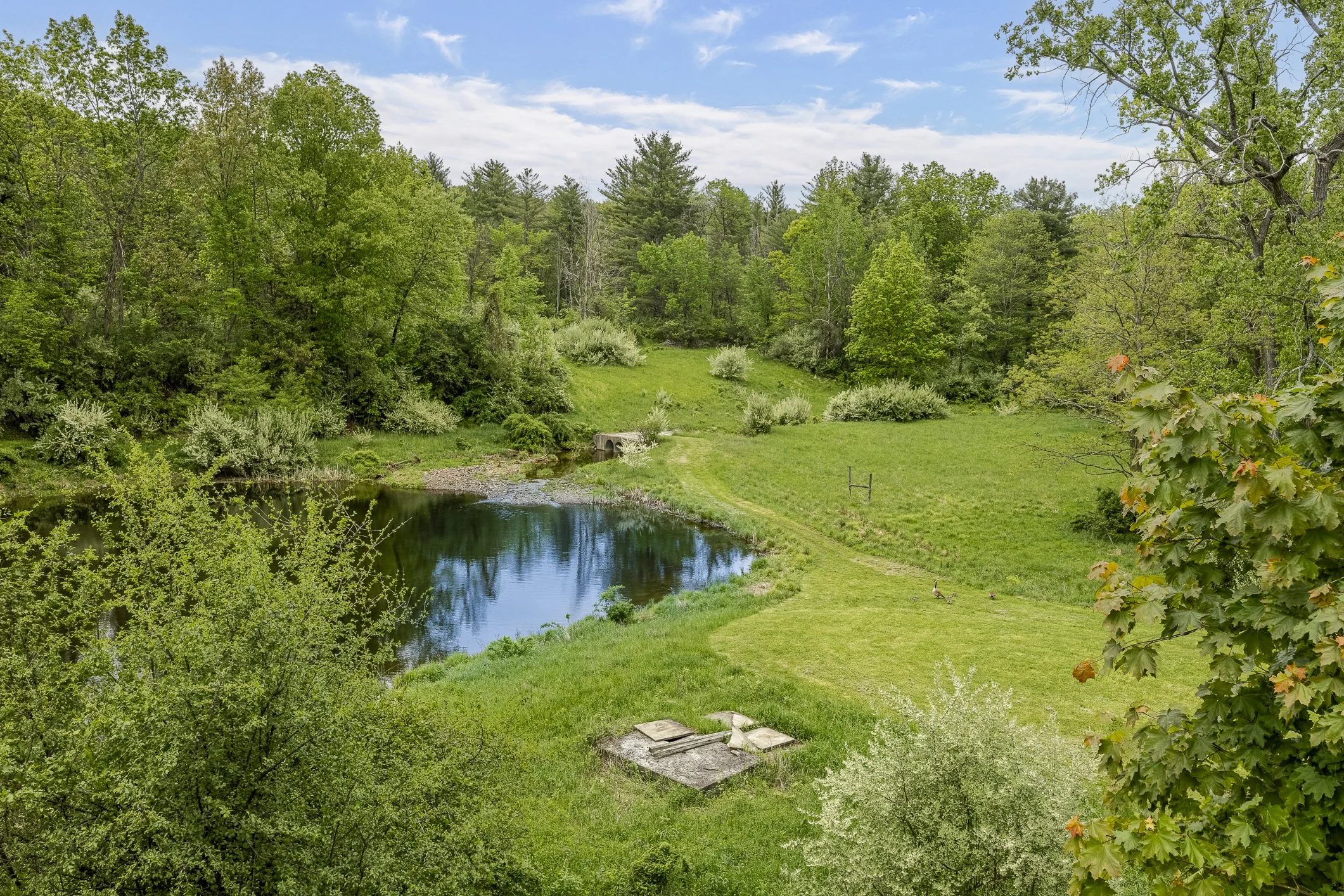 A scenic view of a lush green landscape with a small pond, surrounded by trees and shrubs, under a partly cloudy sky.