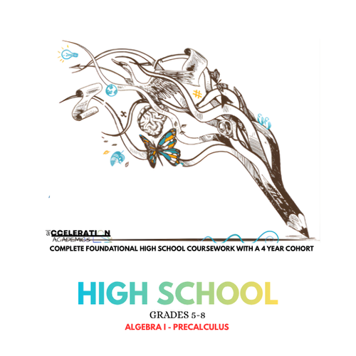 Accelerate High School students