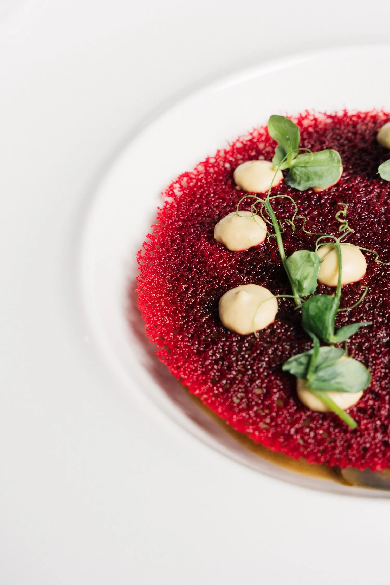 Piattino bianco con un dolce rotondo decorato con crema e germogli di microgreens.