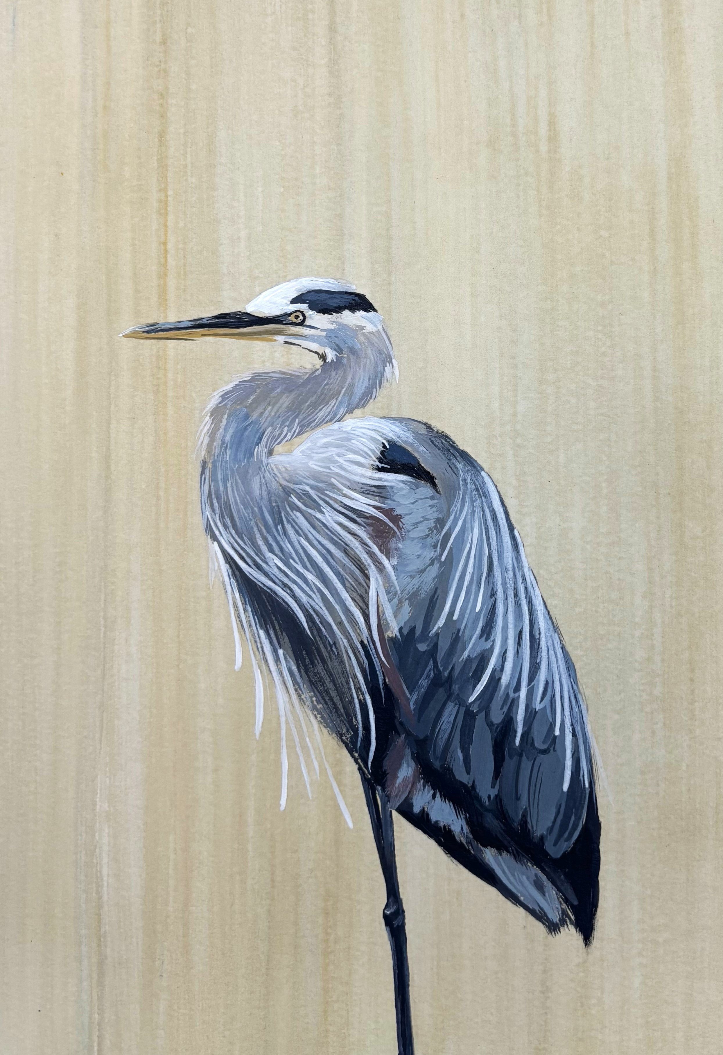 Blue Heron