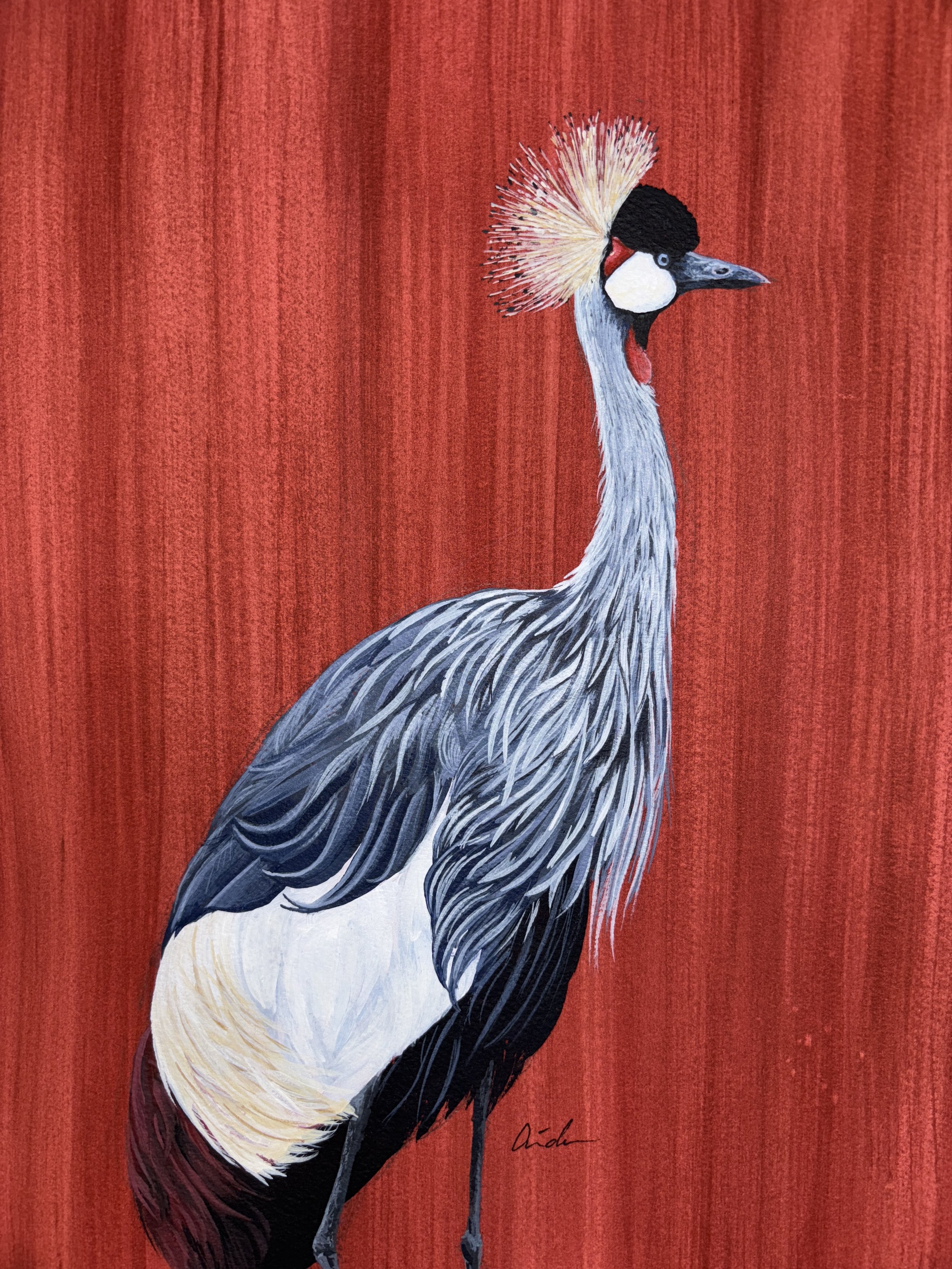Grey Crowned Crane