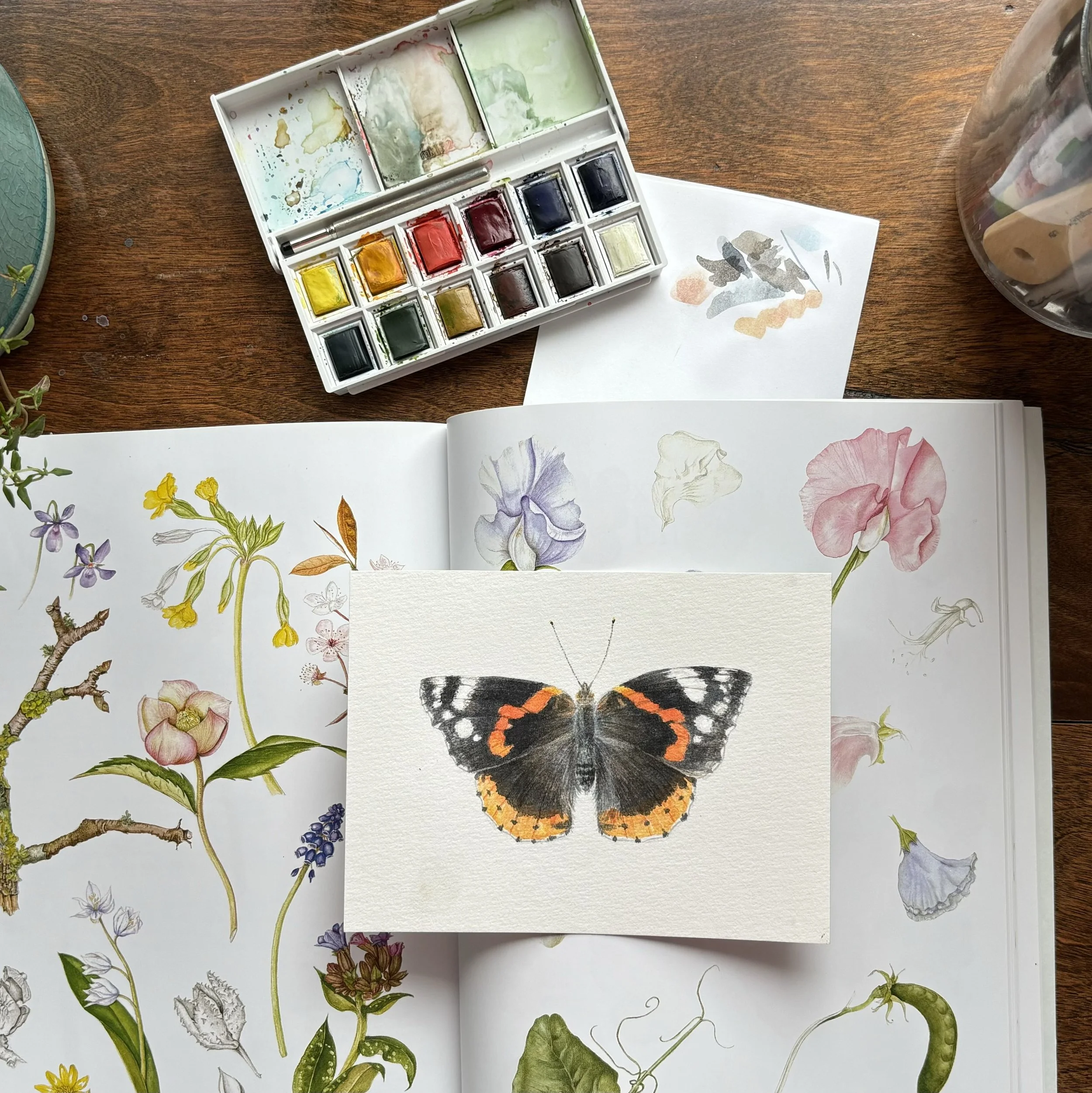 Red Admiral Flat Lay.jpeg