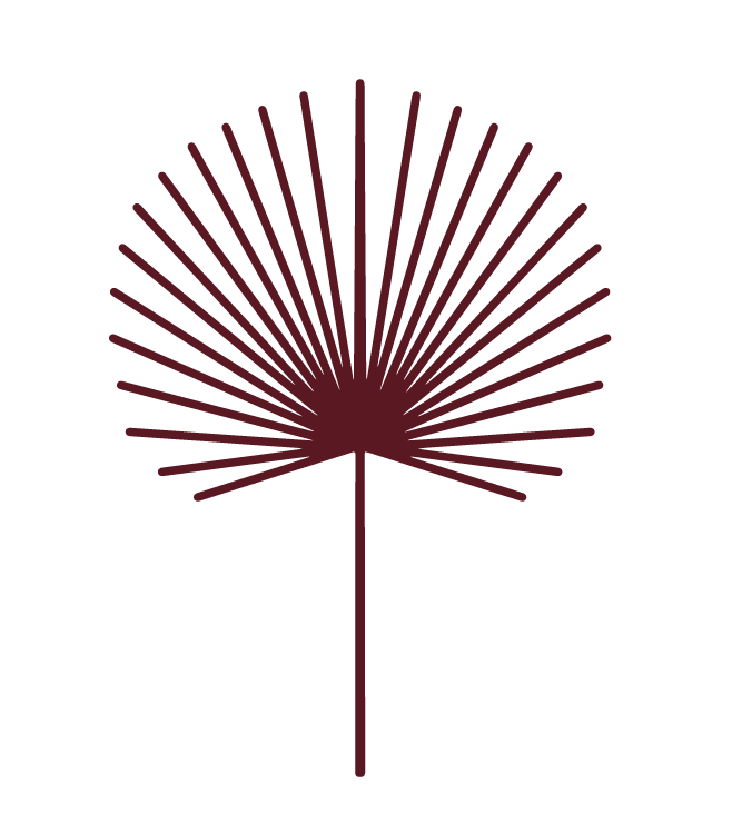 A stylized illustration of a brown fan with a straight handle, spread open with rays radiating outward.