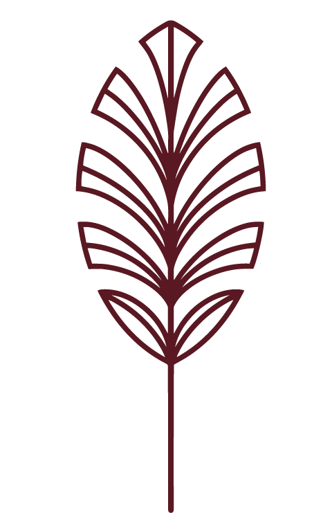 A stylized, dark red, symmetrical botanical illustration of a plant with multiple leaves or petals radiating from a central stem.