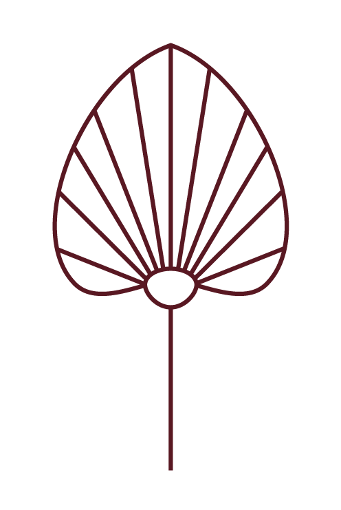 Line drawing of a leaf with a stem, showing a detailed leaf structure with veins, on a black background.