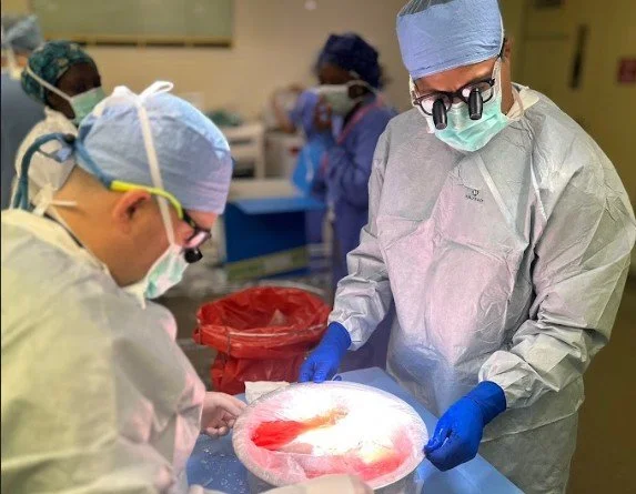 Evaluating the ROI of Outsourced Organ Perfusion Services for Transplant Programs