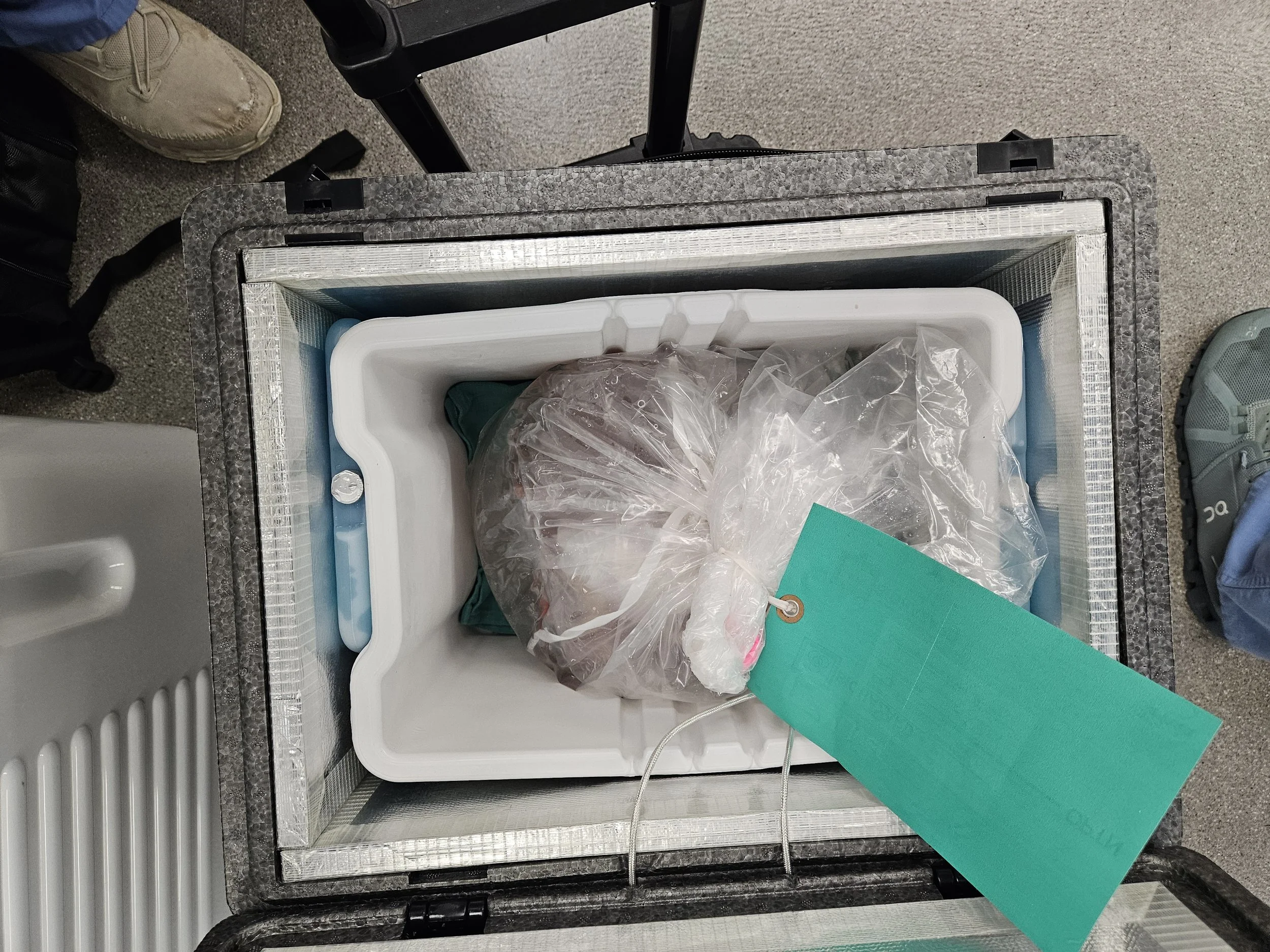 A biobank or laboratory sample storage container with a frozen bag inside for sample preservation.