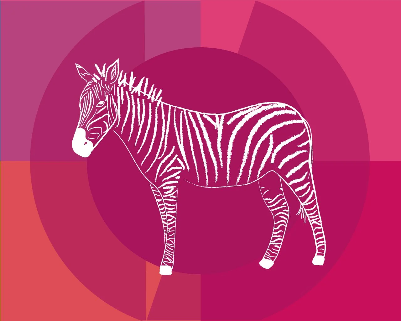 zebra_illustration_pink.jpg