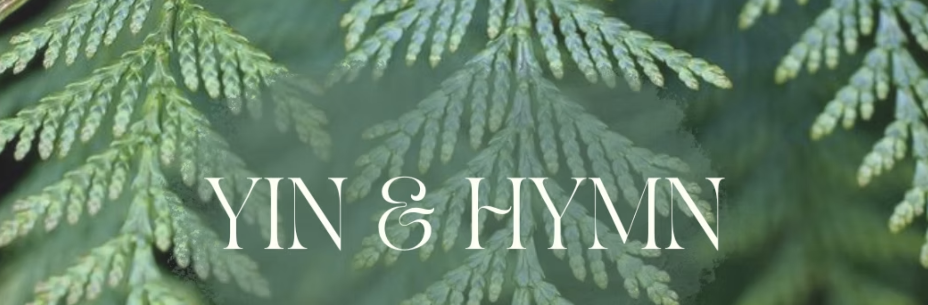 yin & hymn ft cedar