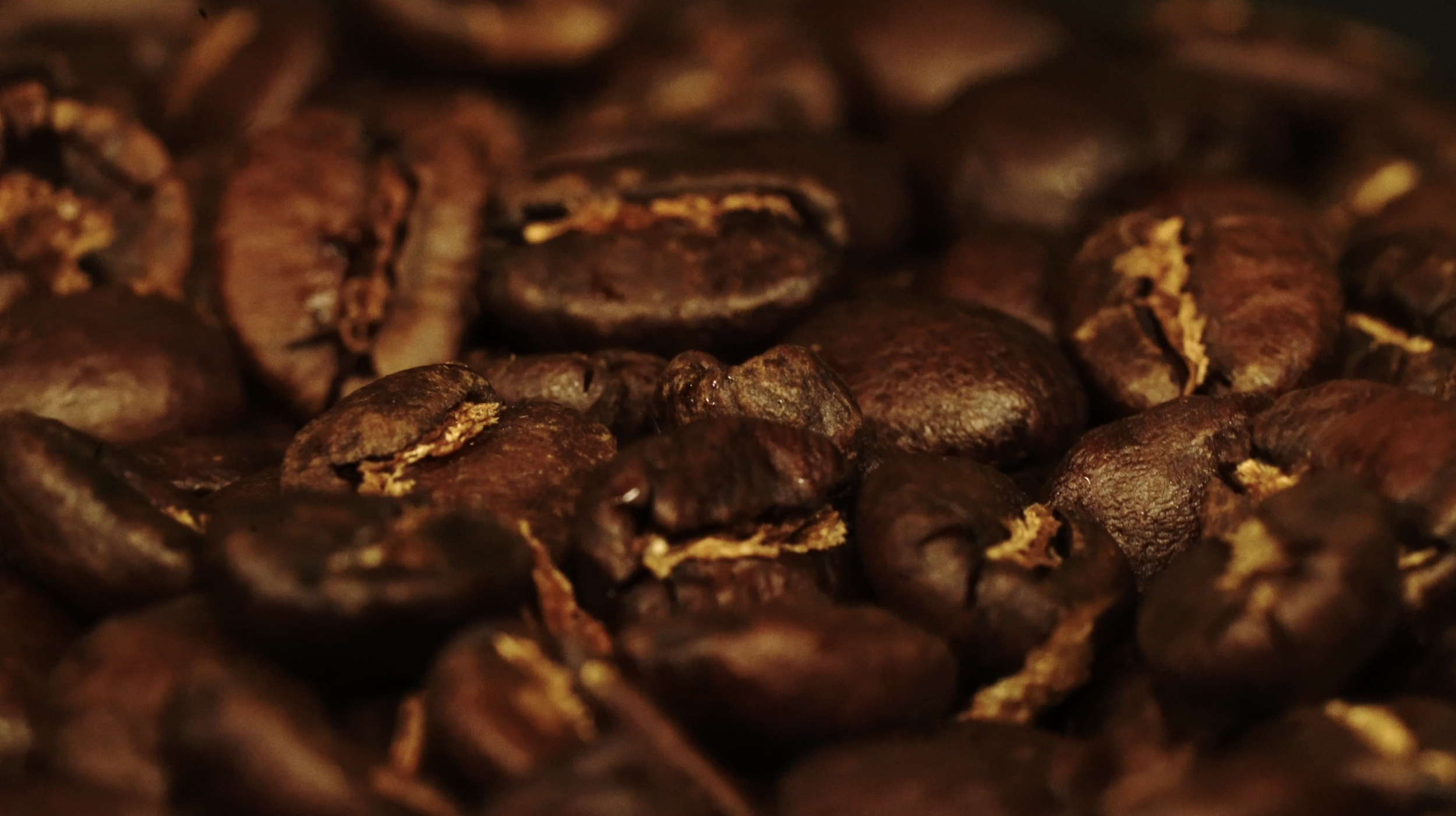 Screenshot 2025-11-04 at 10.58.49 AM.png