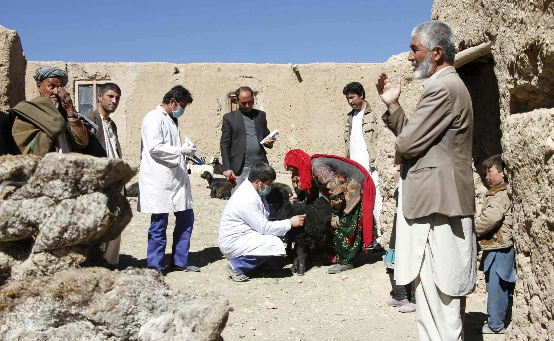 Celebrating the enduring legacy of development efforts in Bamyan