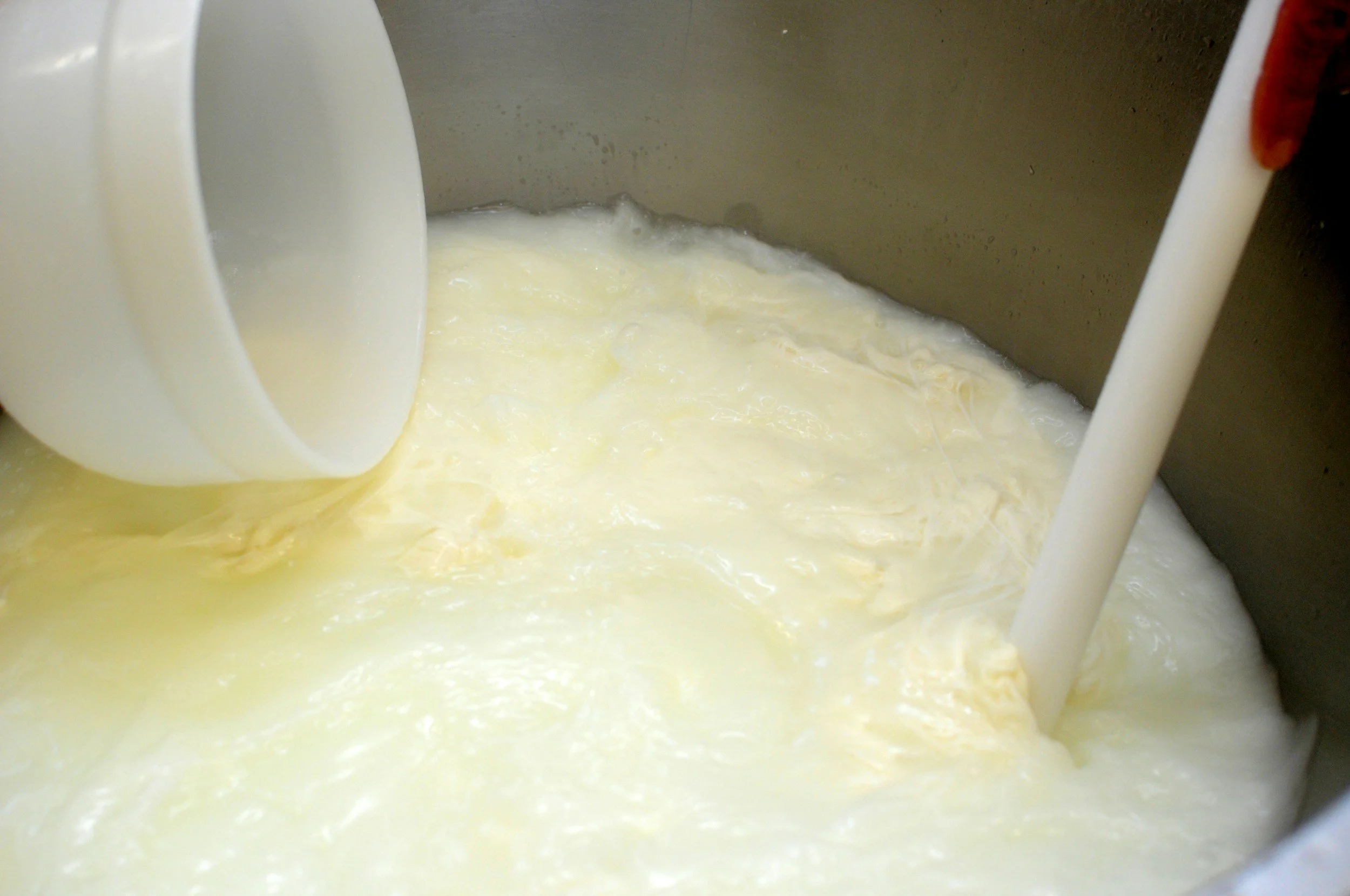 Commercialising Ethiopia’s dairy sector
