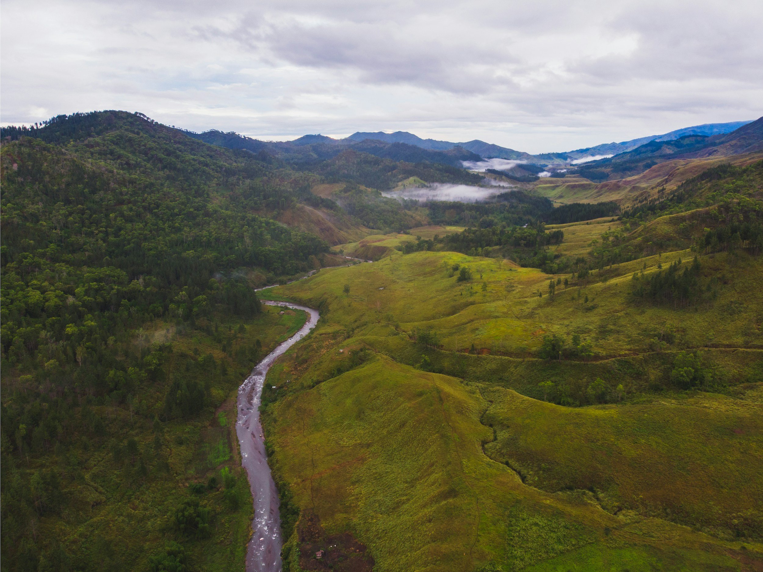 Management Support for Bukidnon Forestry Project, The Philippines