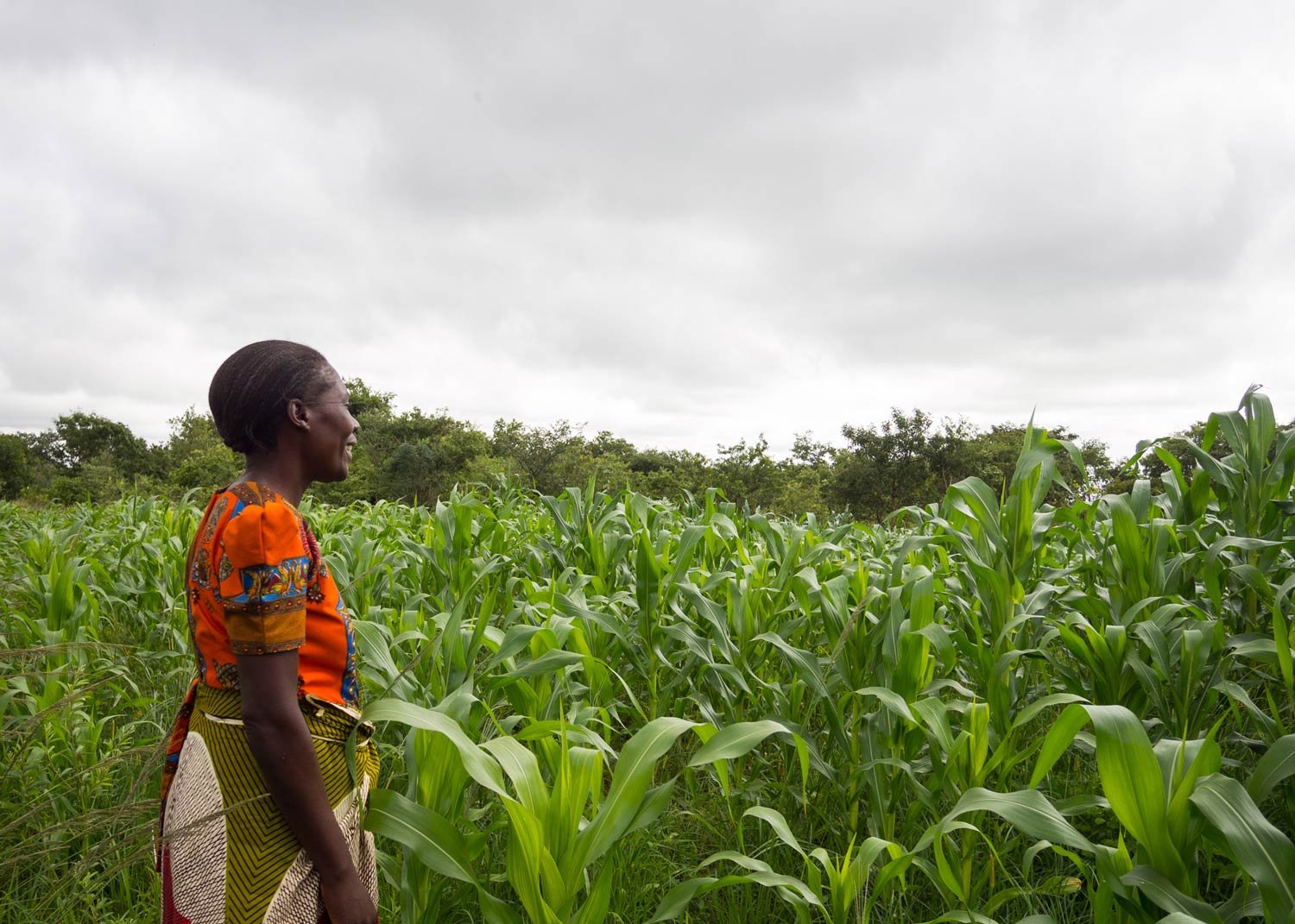 A woman standing in a lush green cornfield on a cloudy day, smiling and looking to the right.