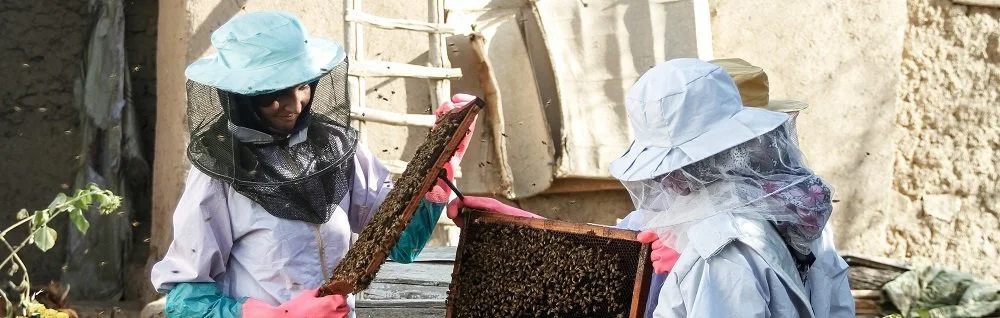 Female-led Beekeeping Enterprise