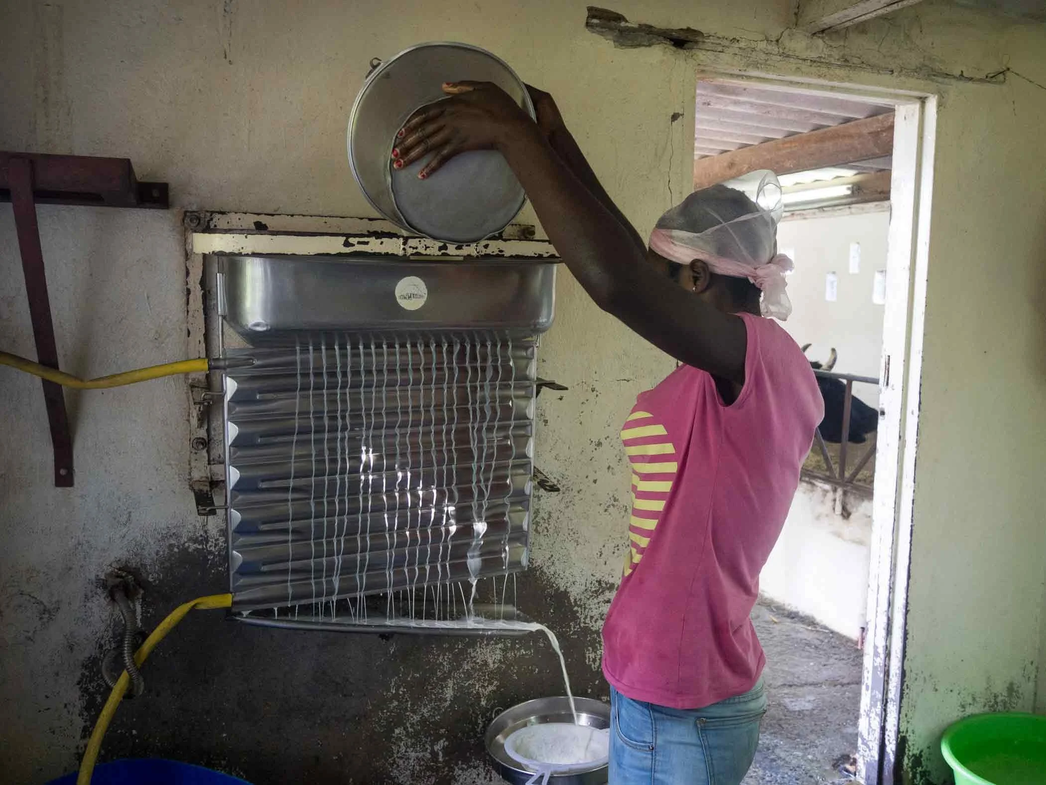 Dairy-Farm-Worker-from-Luanshya-(5).jpg