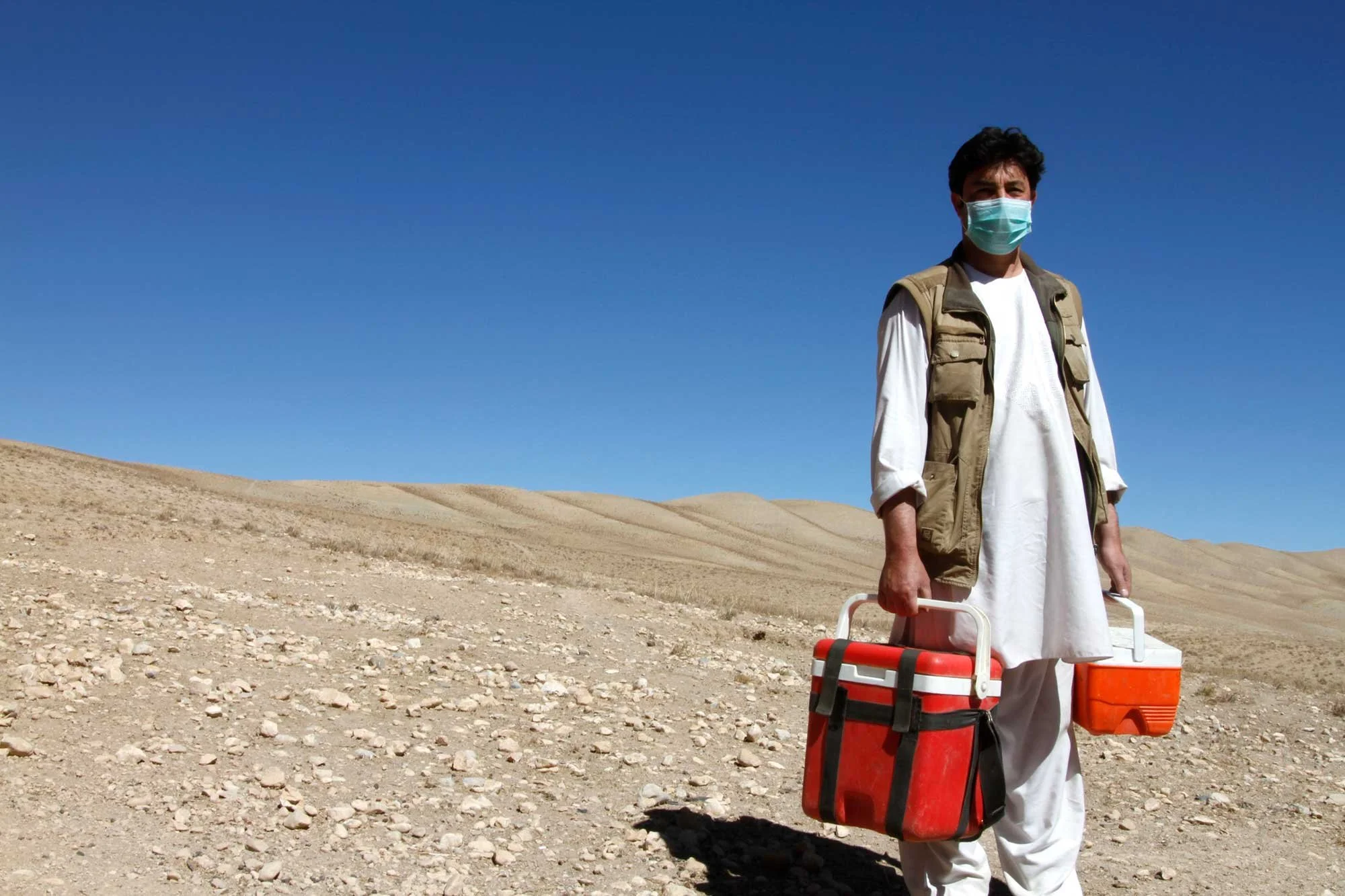 One Health, animal welfare and biosecurity
