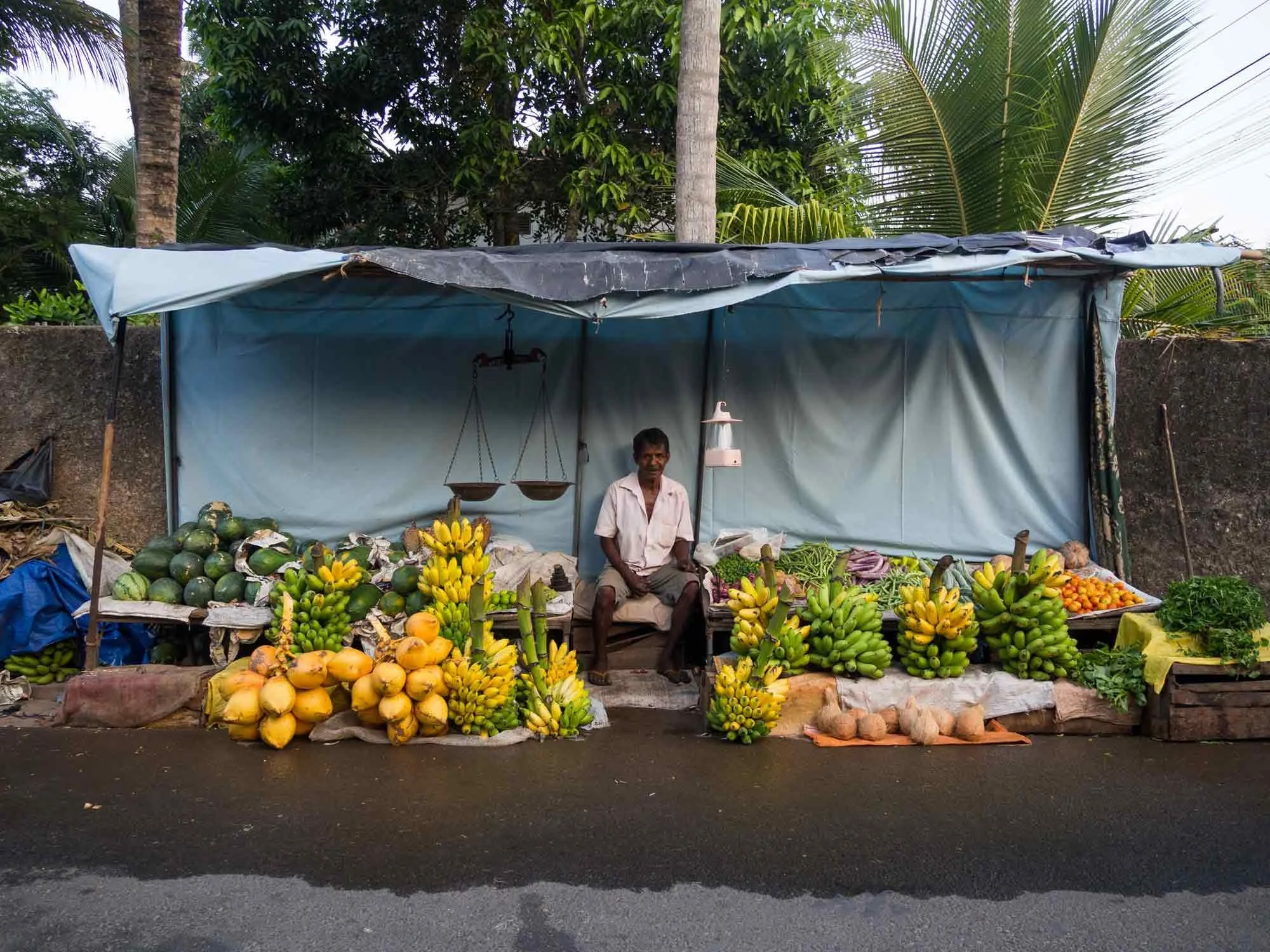 Vegetable and fruit stall on the side of the road with a man sitting in the middle, surrounded by bananas, watermelons, coconuts, carrots, and greens, under a makeshift canopy.