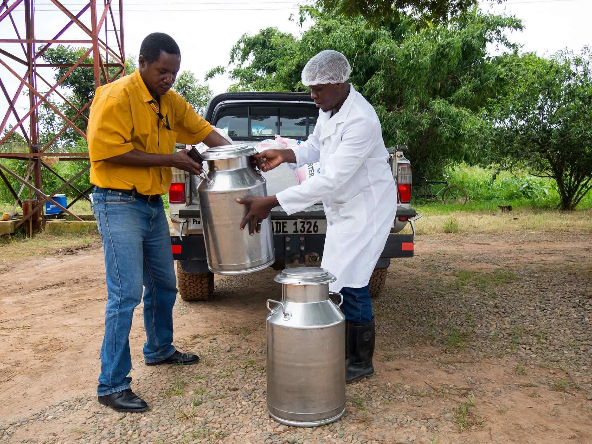 Zambia Dairy Transformation Programme – Zambia