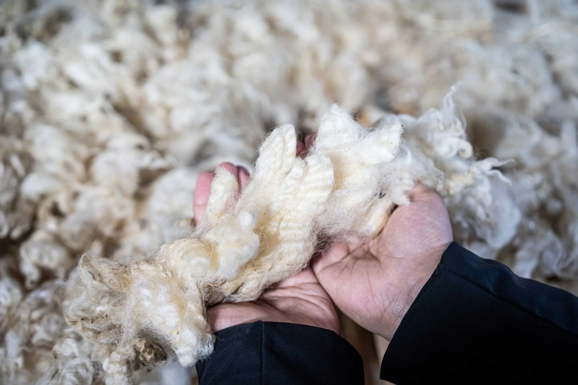 Strong Wool Industry Collaboration Review, New Zealand