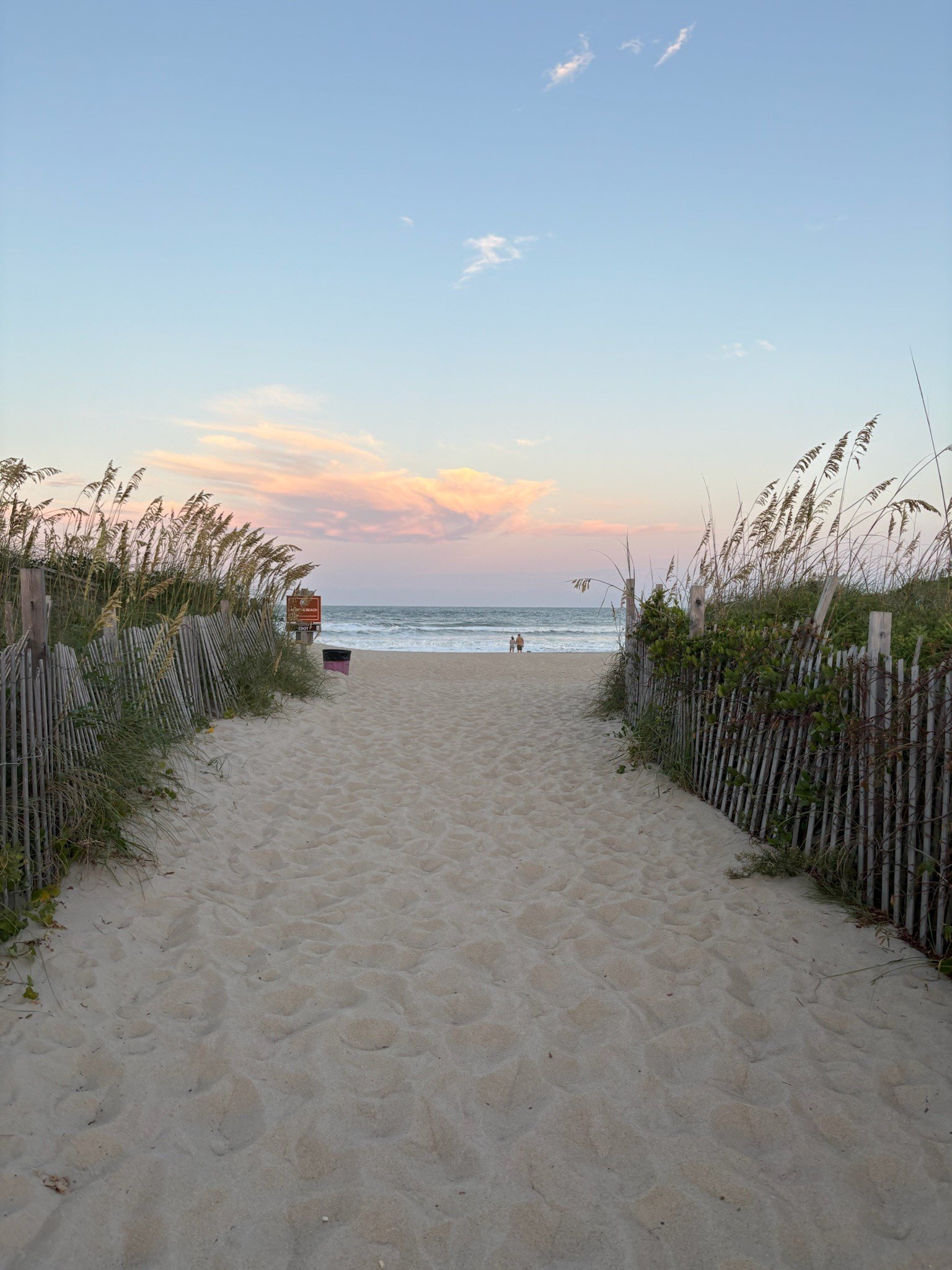 Wild Ivy Psychotherapy | Emily Collier | Therapist | ERP | Charlotte, NC |