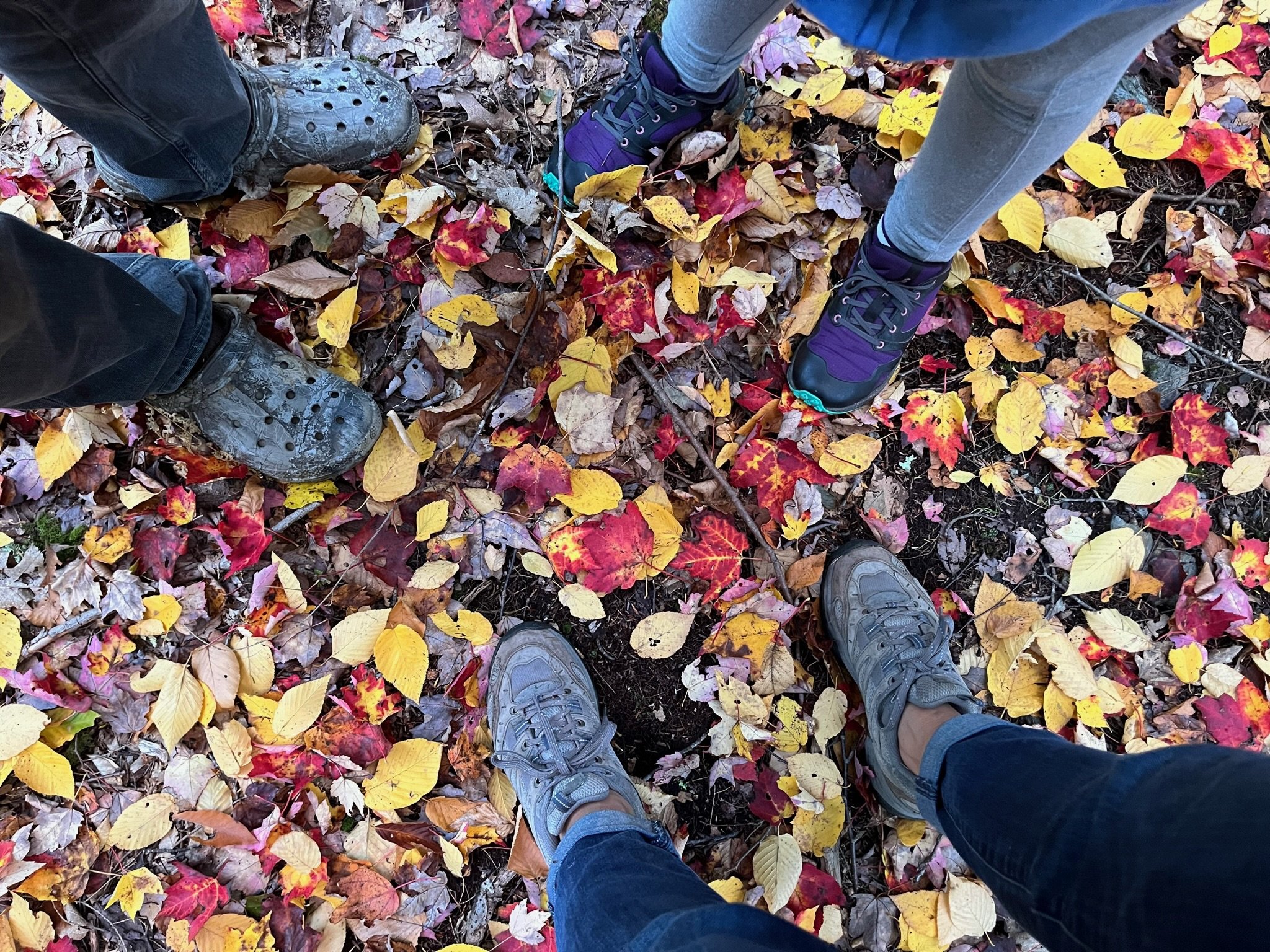 View of four people standing on colorful autumn leaves with shoes visible from above.